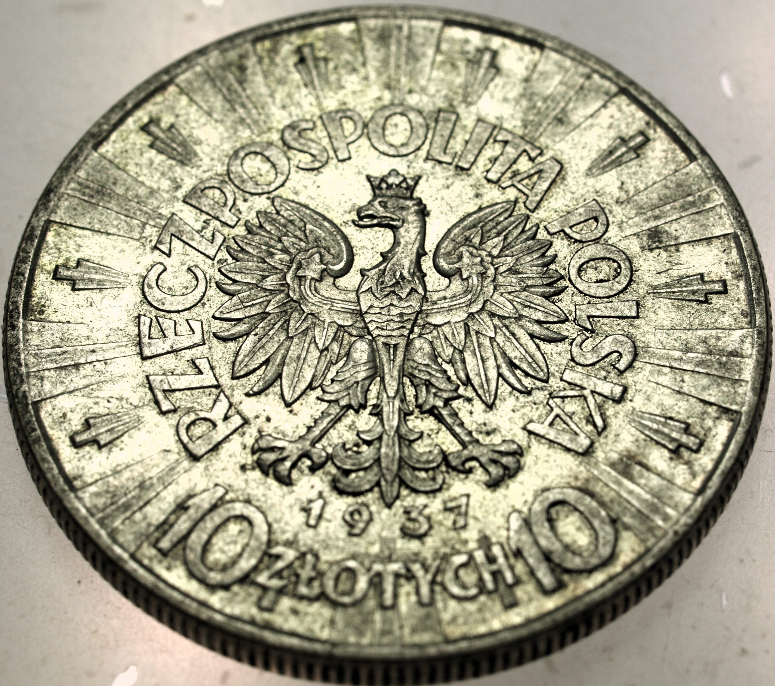 Zdjęcie 17700954348_1