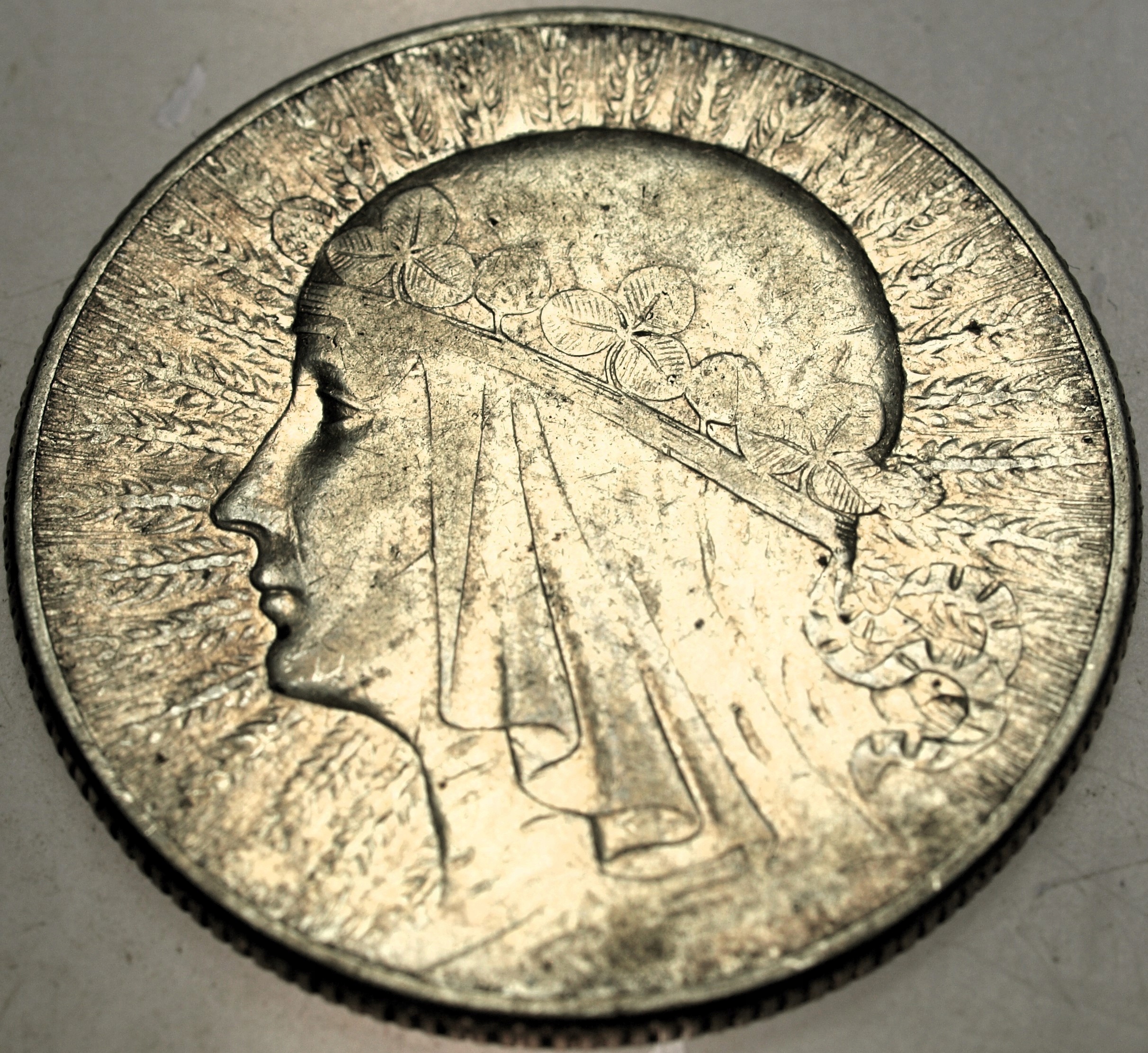 Zdjęcie 17714177031_0