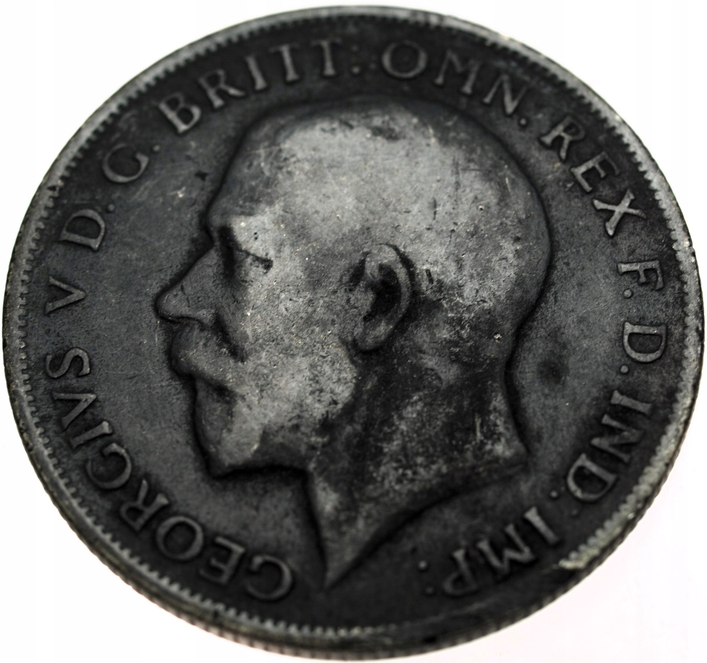 Zdjęcie 17721974436_1