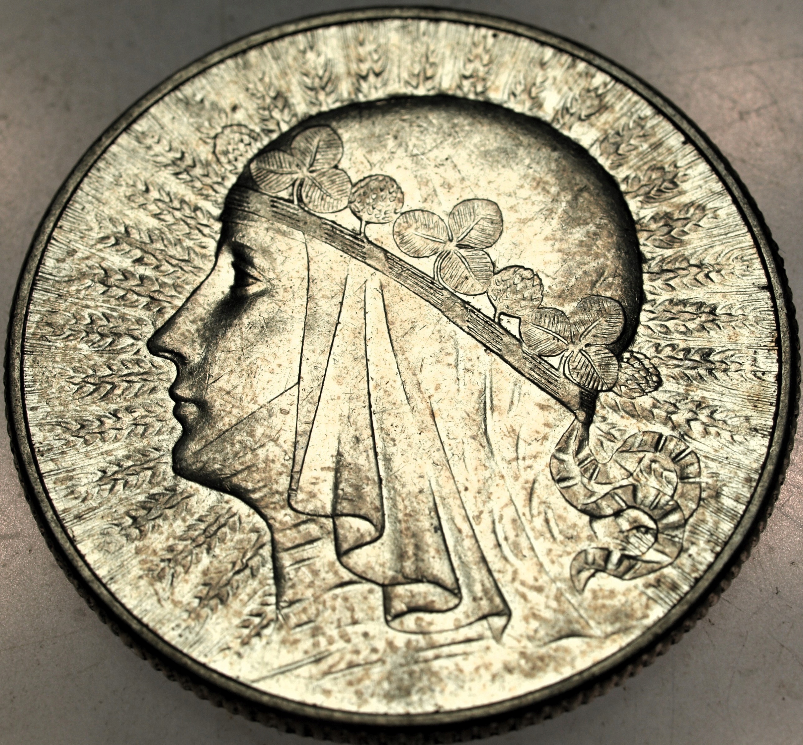 Zdjęcie 17862360673_0