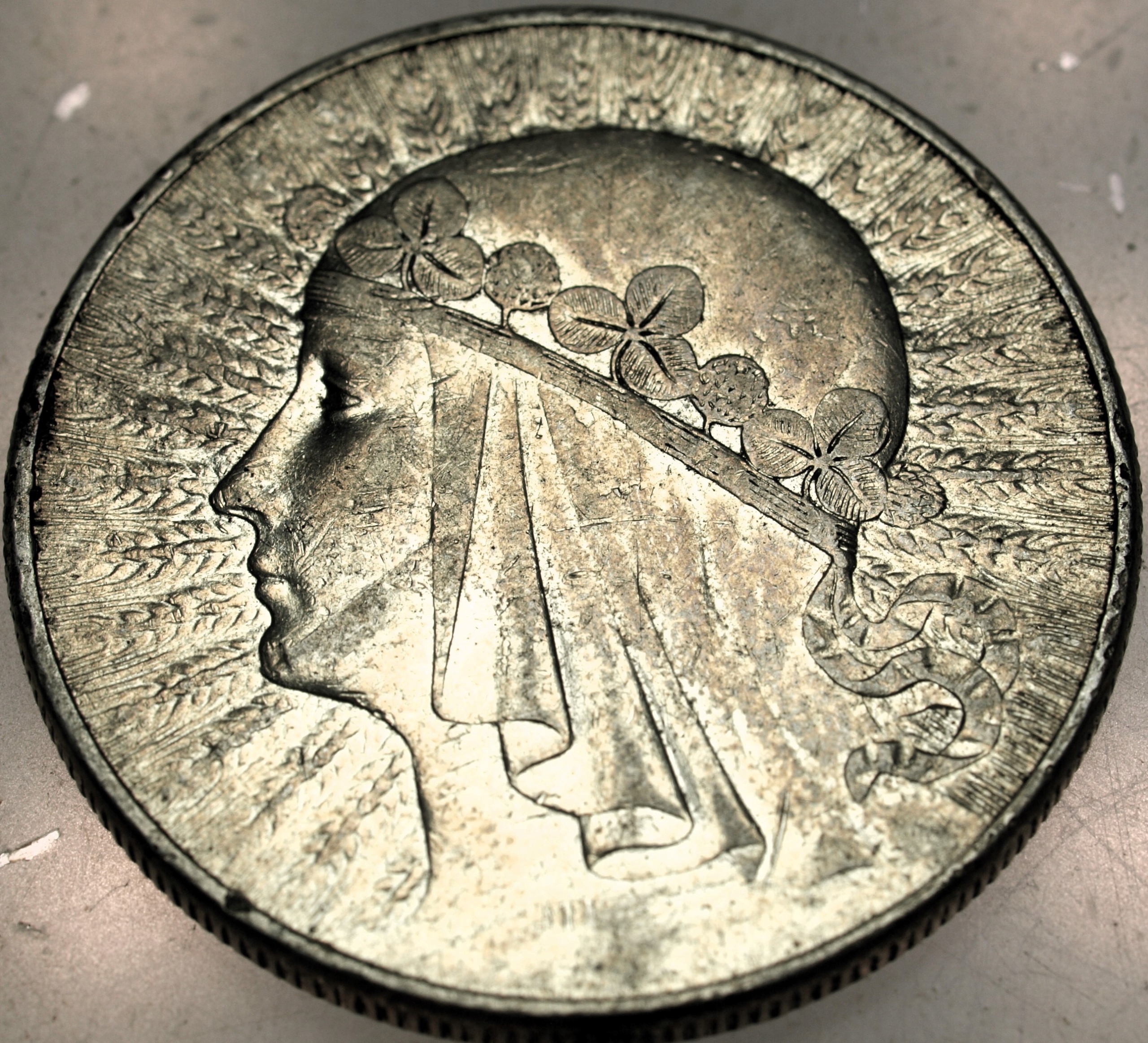 Zdjęcie 17862369214_0