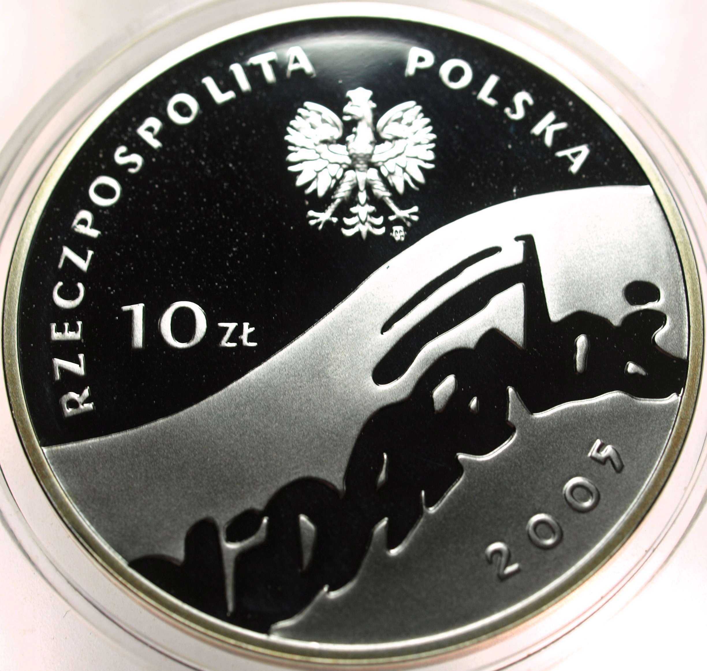 Zdjęcie 17862388885_1