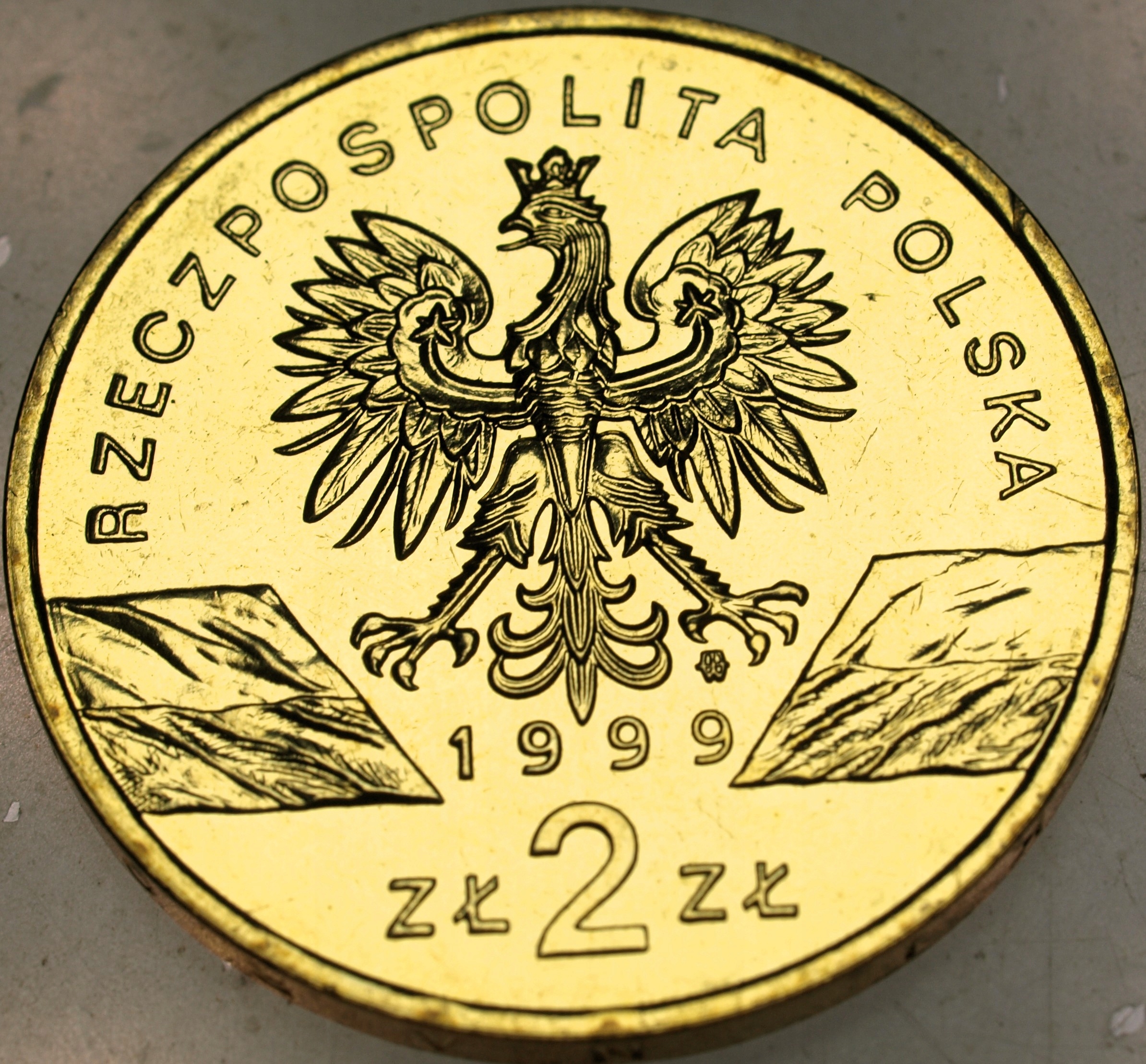 Zdjęcie 17873910162_1