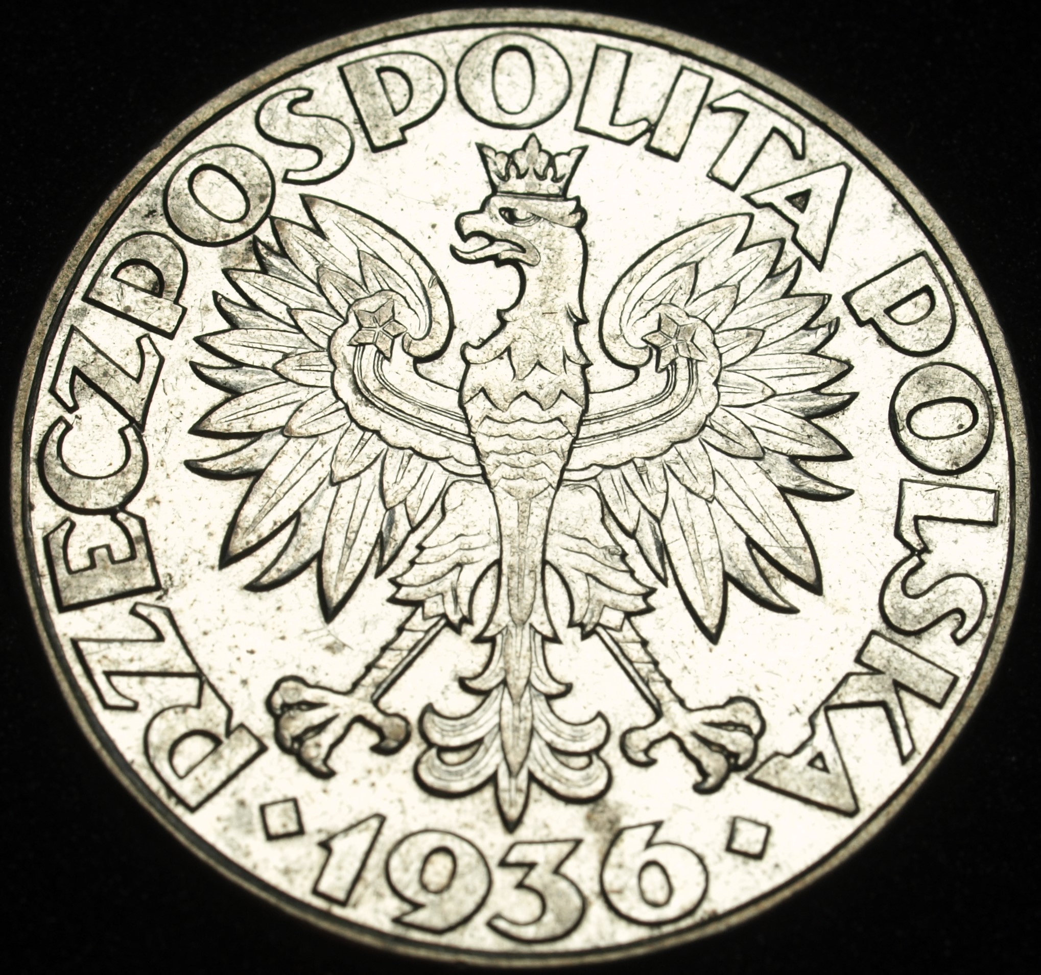 Zdjęcie 17873972621_1