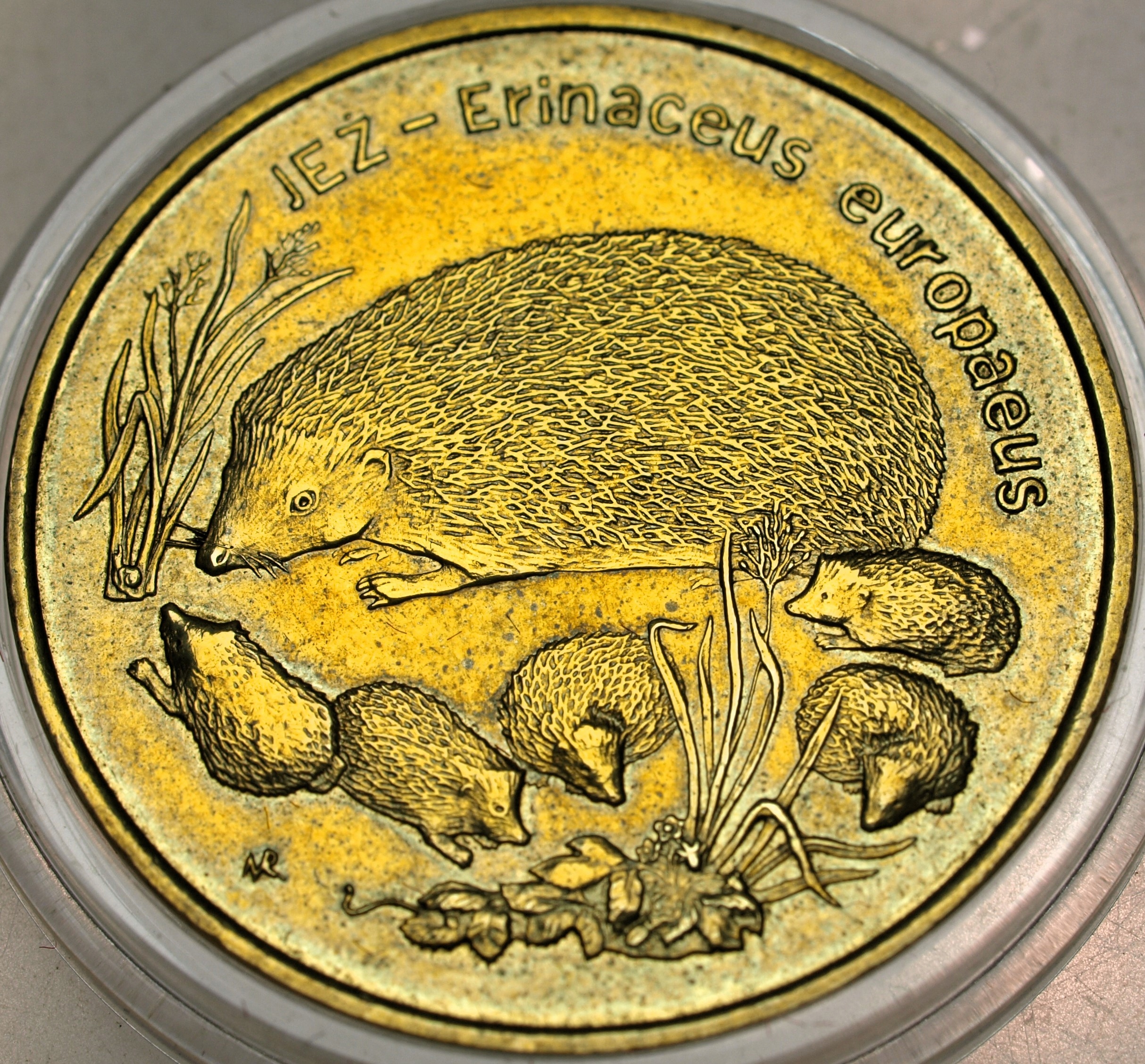 Zdjęcie 17873977730_0