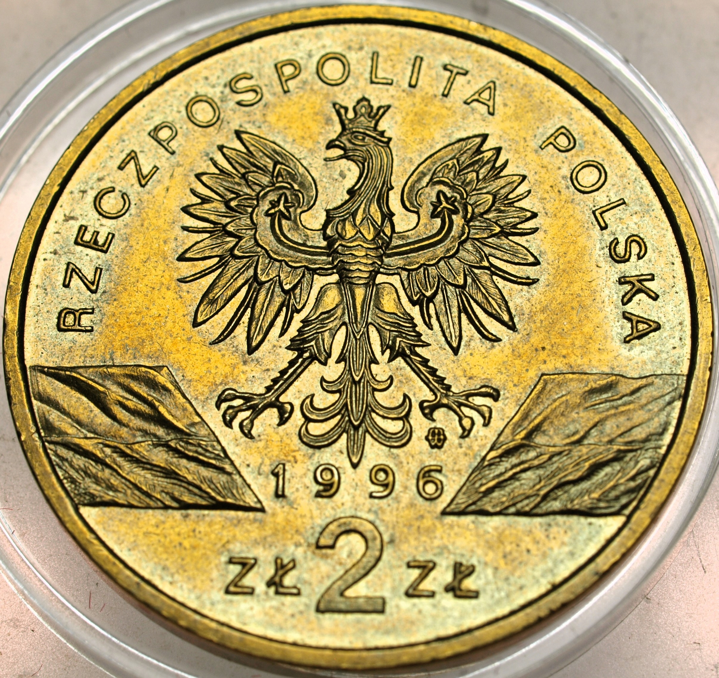 Zdjęcie 17873977730_1