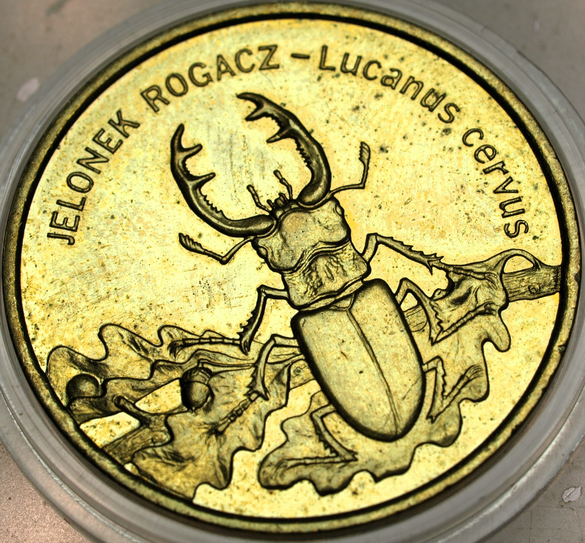 Zdjęcie 17873982997_0
