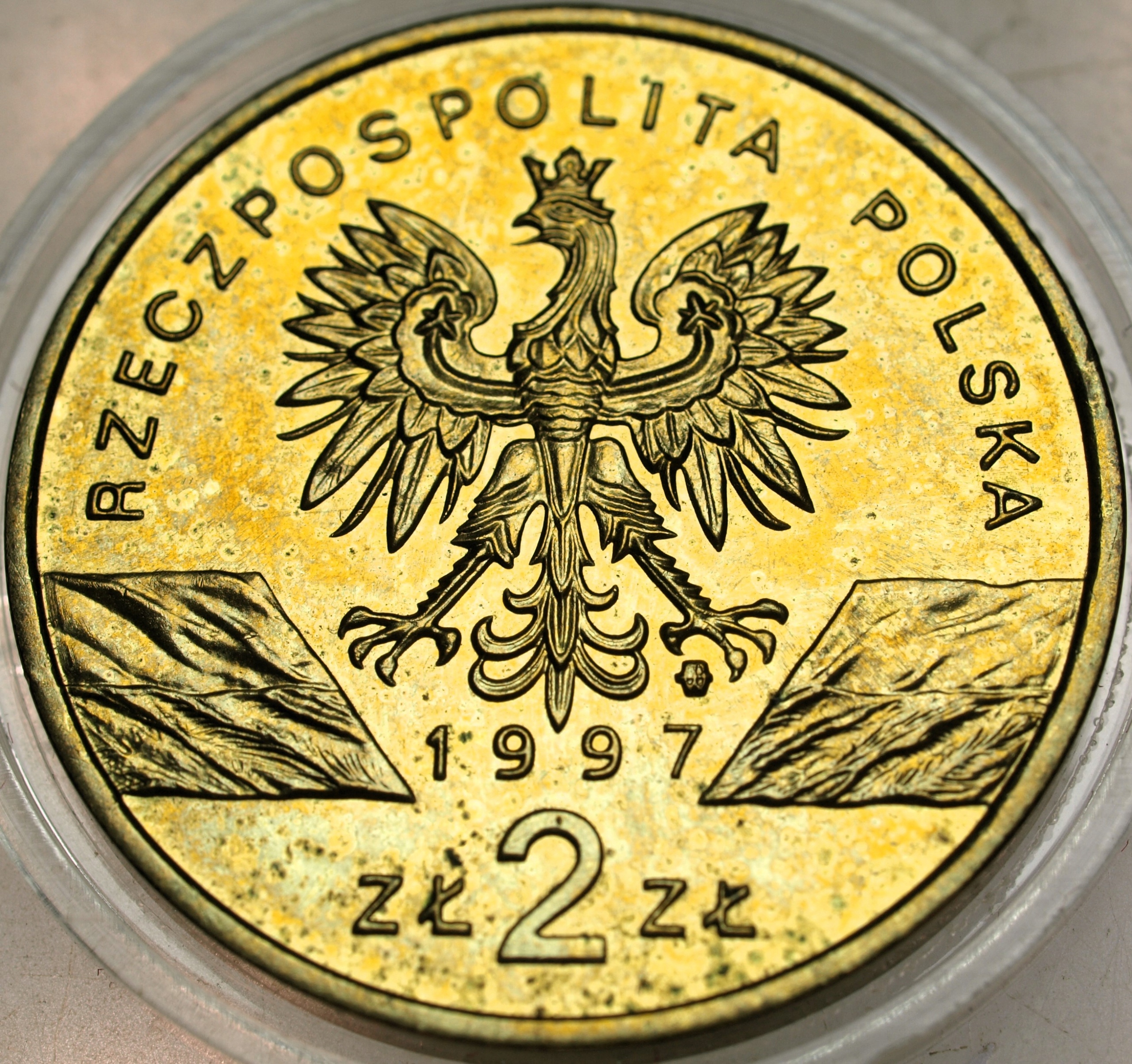 Zdjęcie 17873982997_1