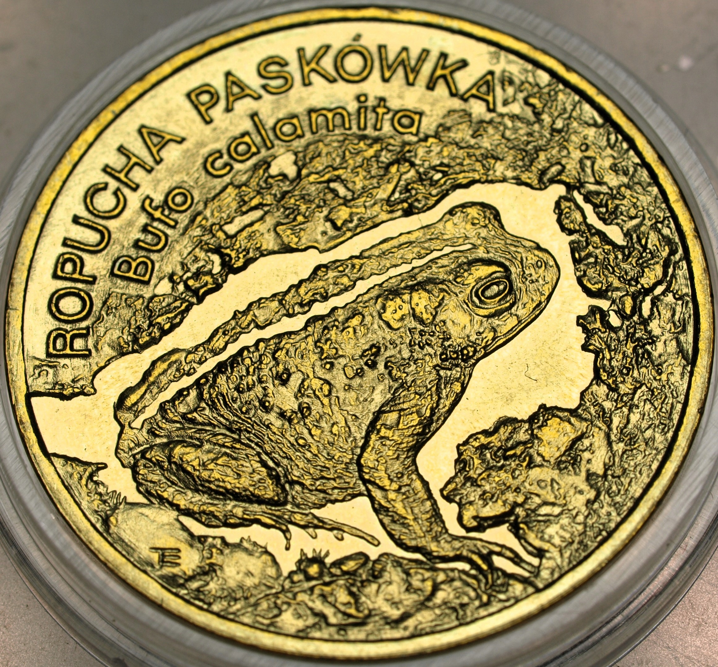 Zdjęcie 17873985308_0