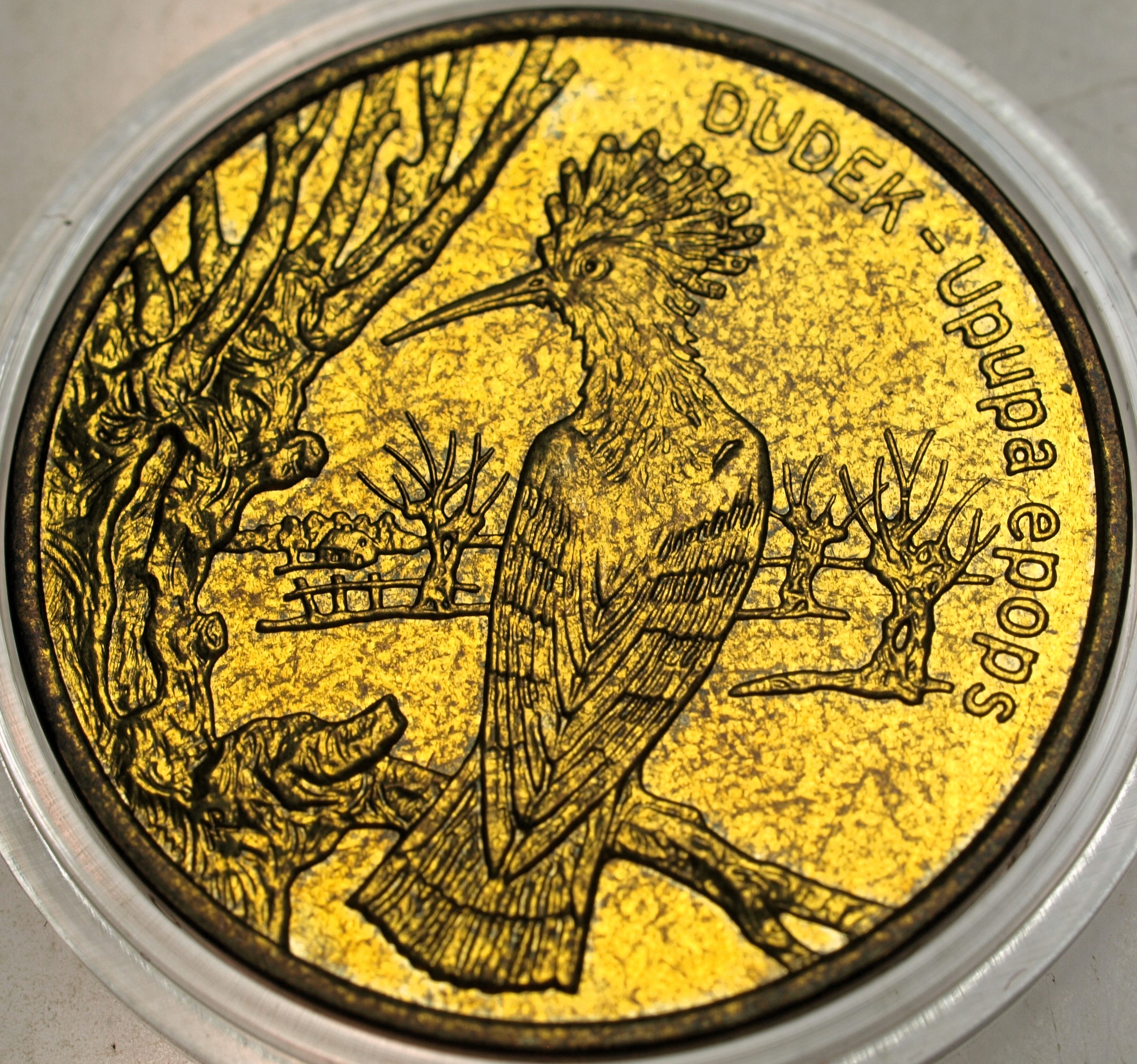 Zdjęcie 17873990750_0