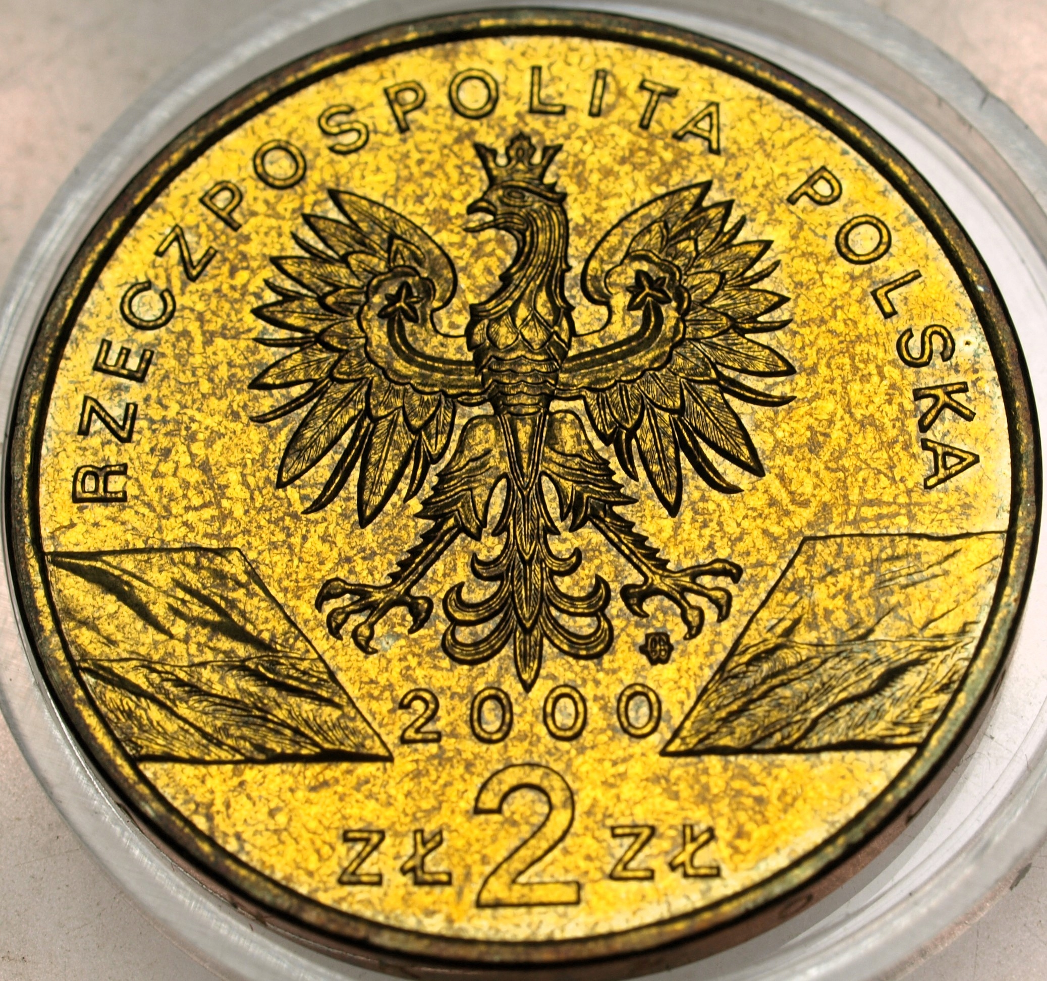 Zdjęcie 17873990750_1