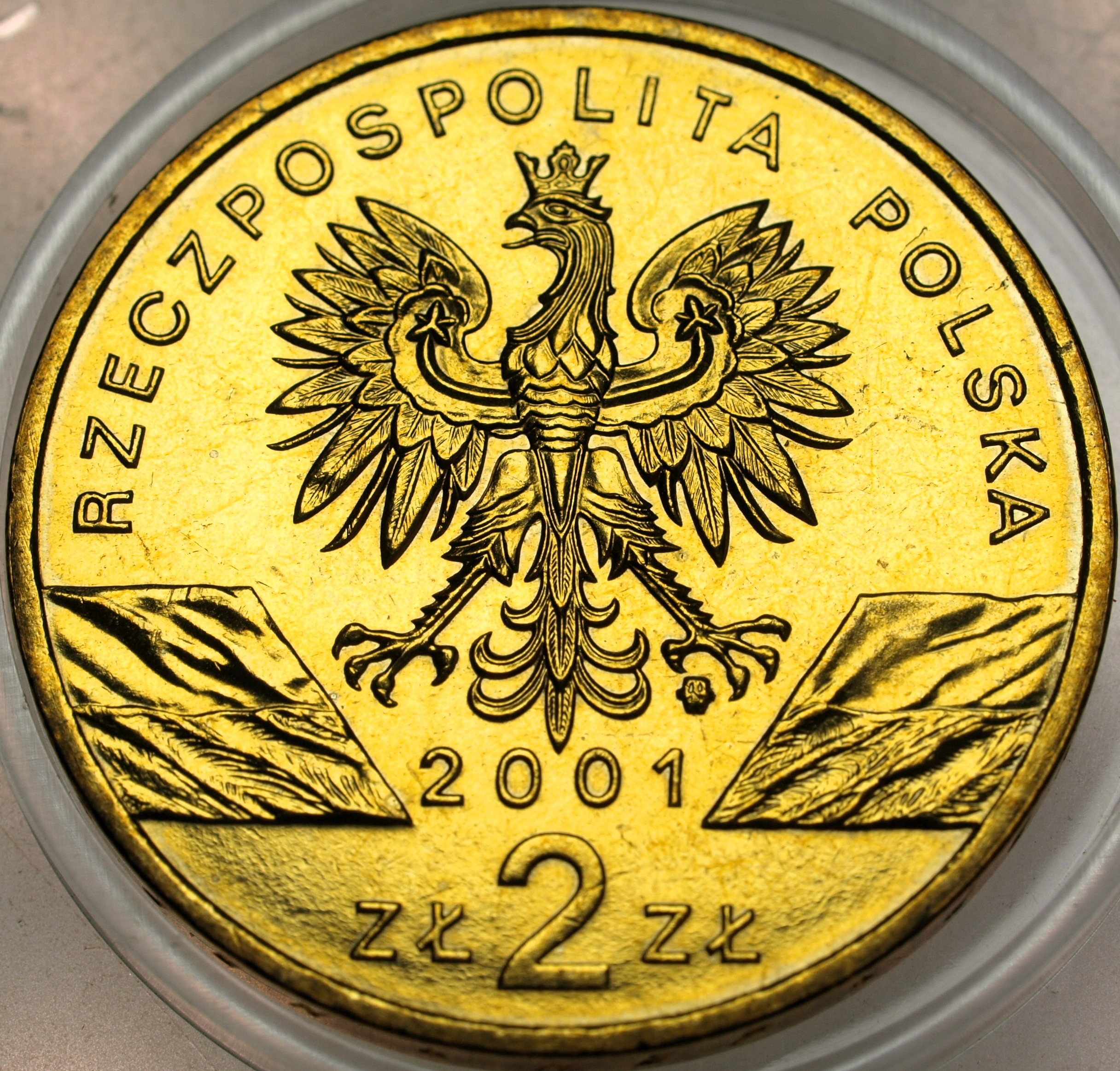 Zdjęcie 17873993191_1