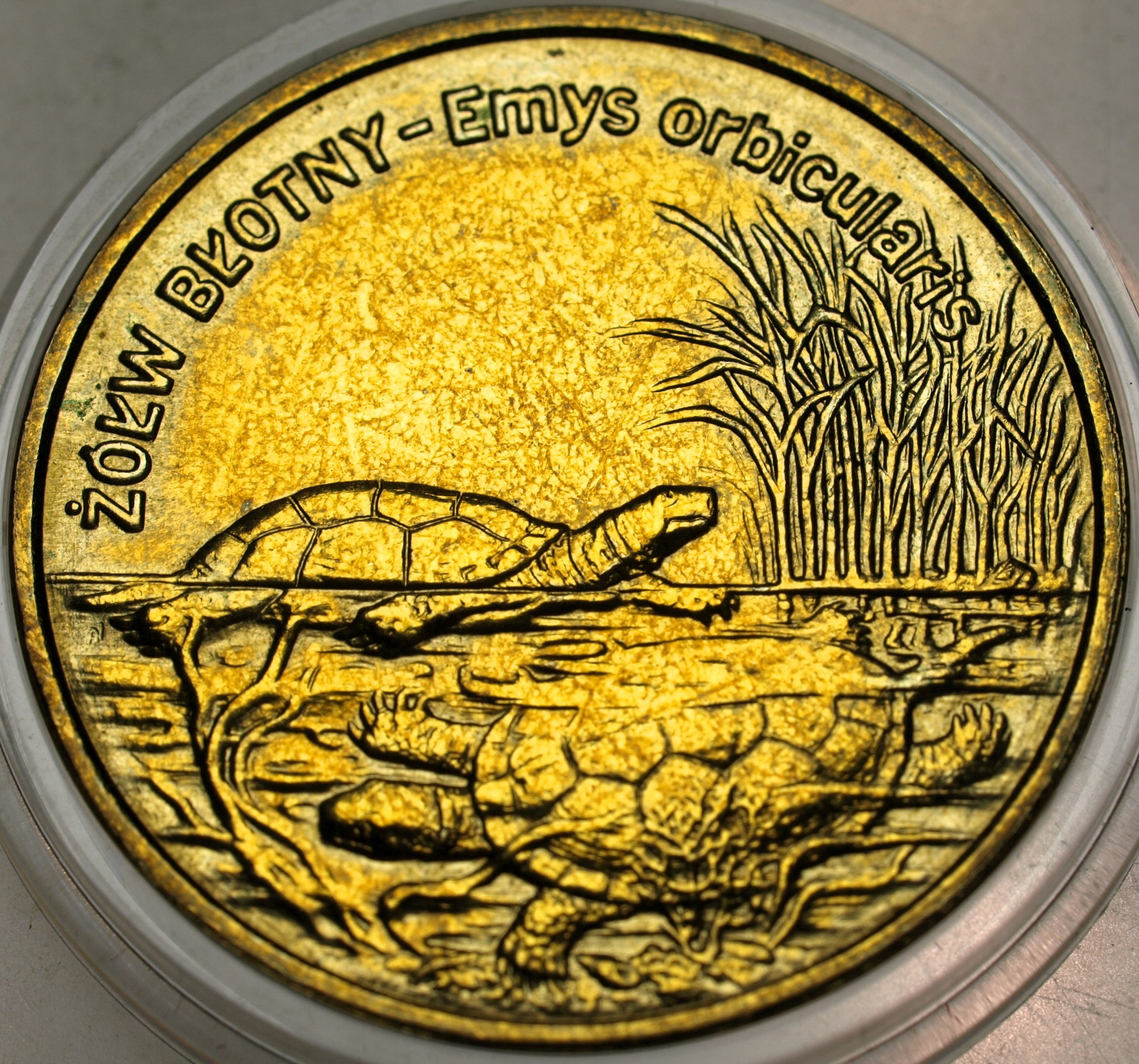 Zdjęcie 17873996098_0