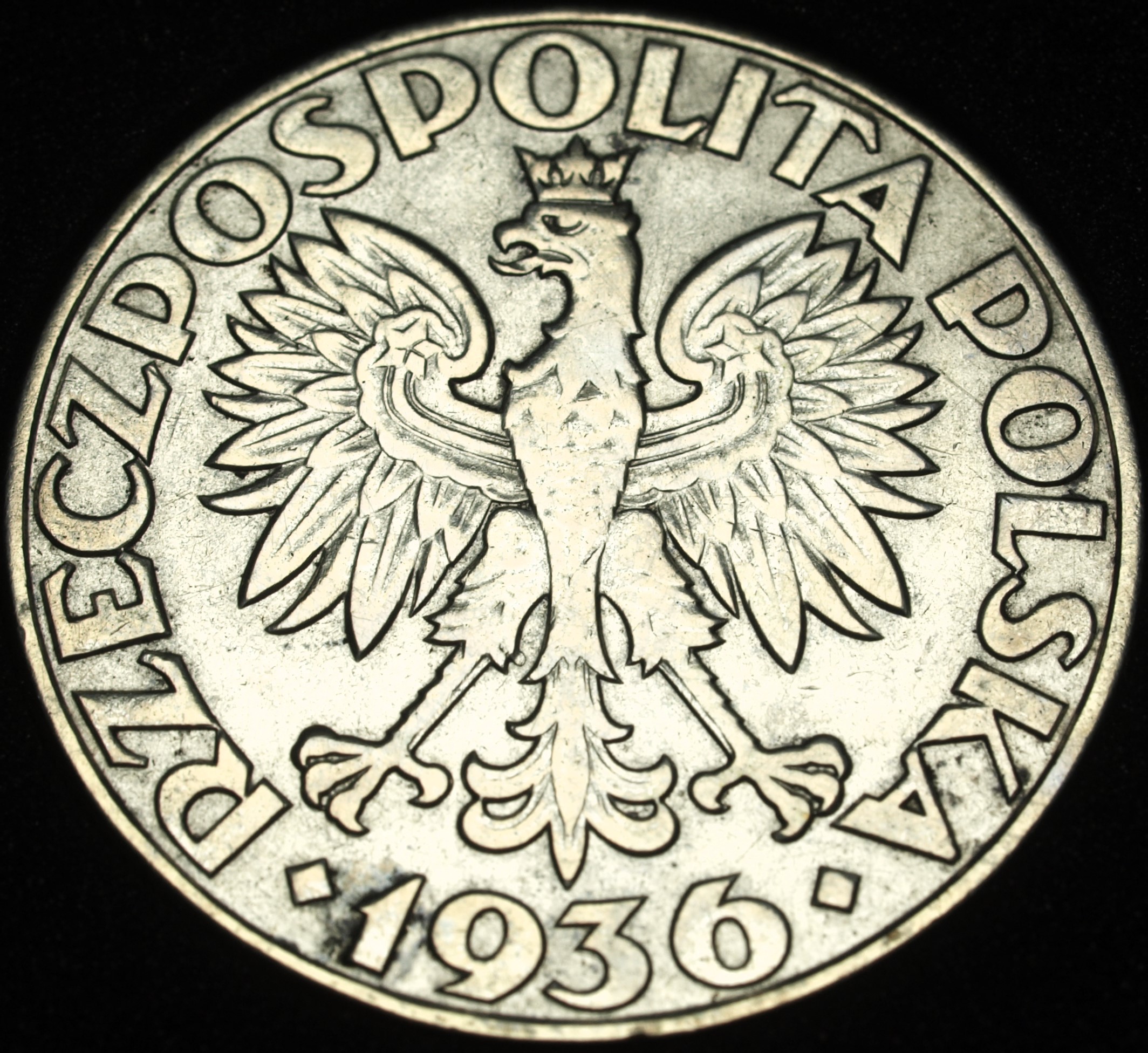 Zdjęcie 17873998548_1