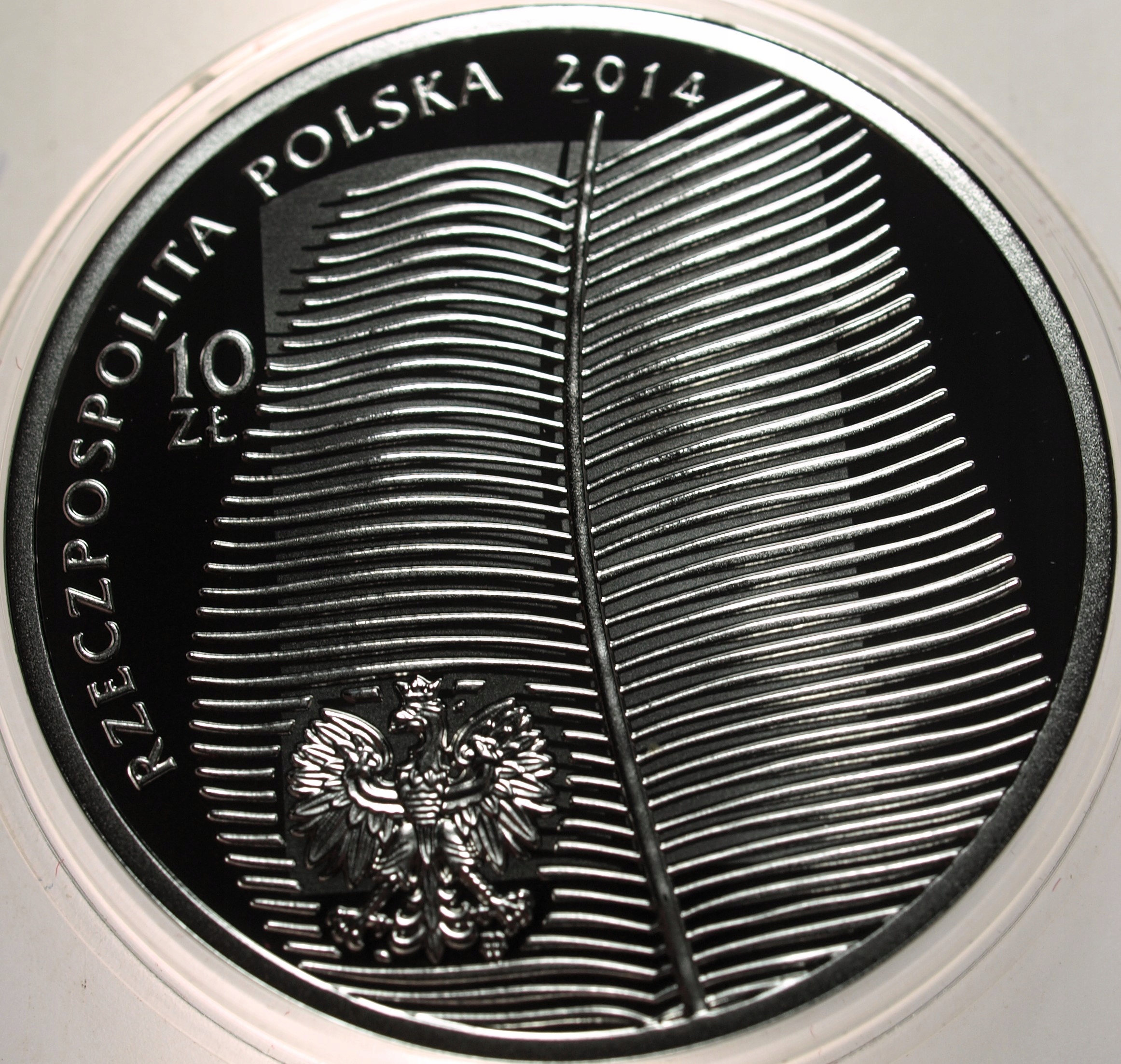 Zdjęcie 17874020066_2