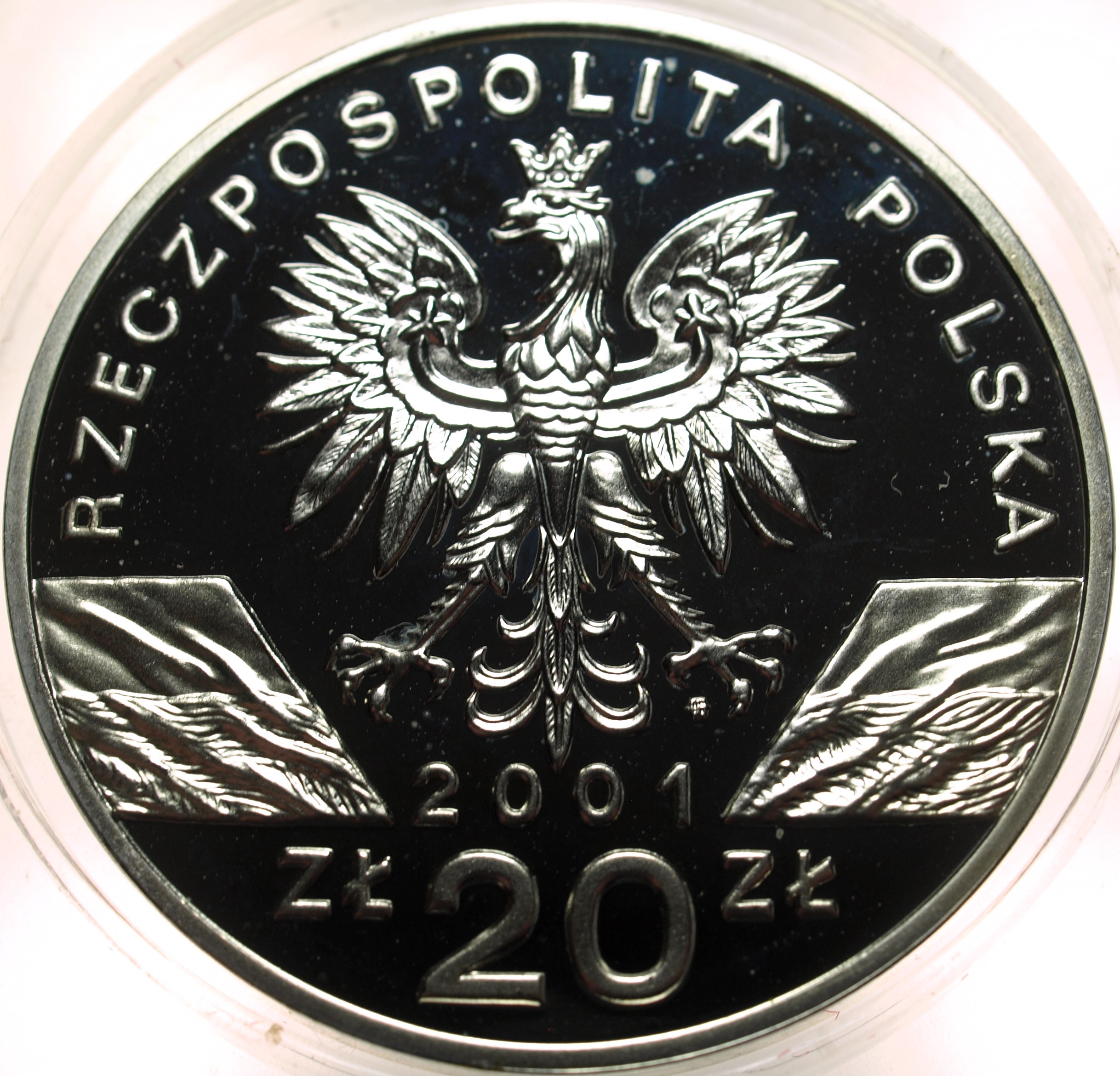 Zdjęcie 17874022843_1