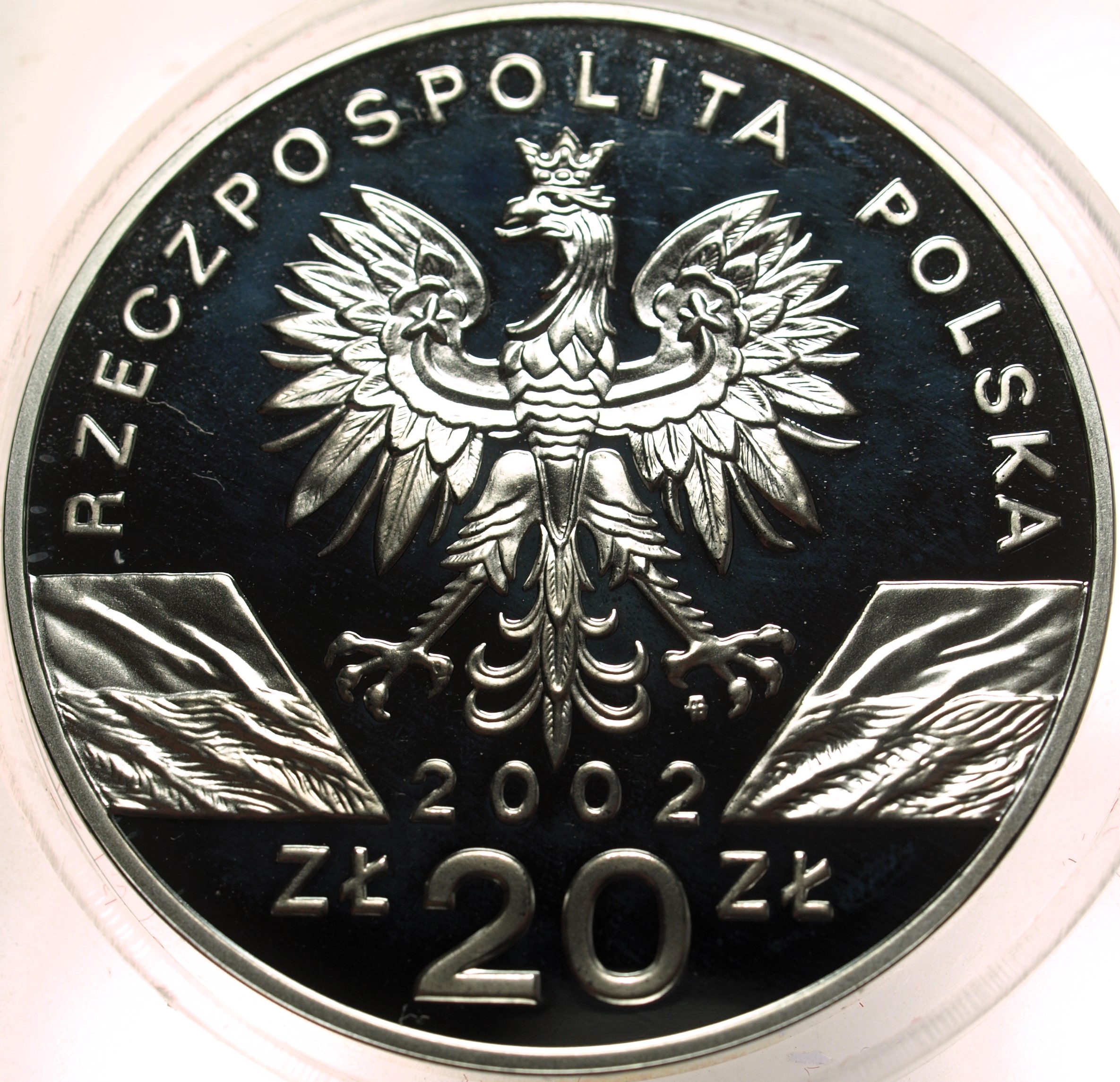 Zdjęcie 17874026630_1