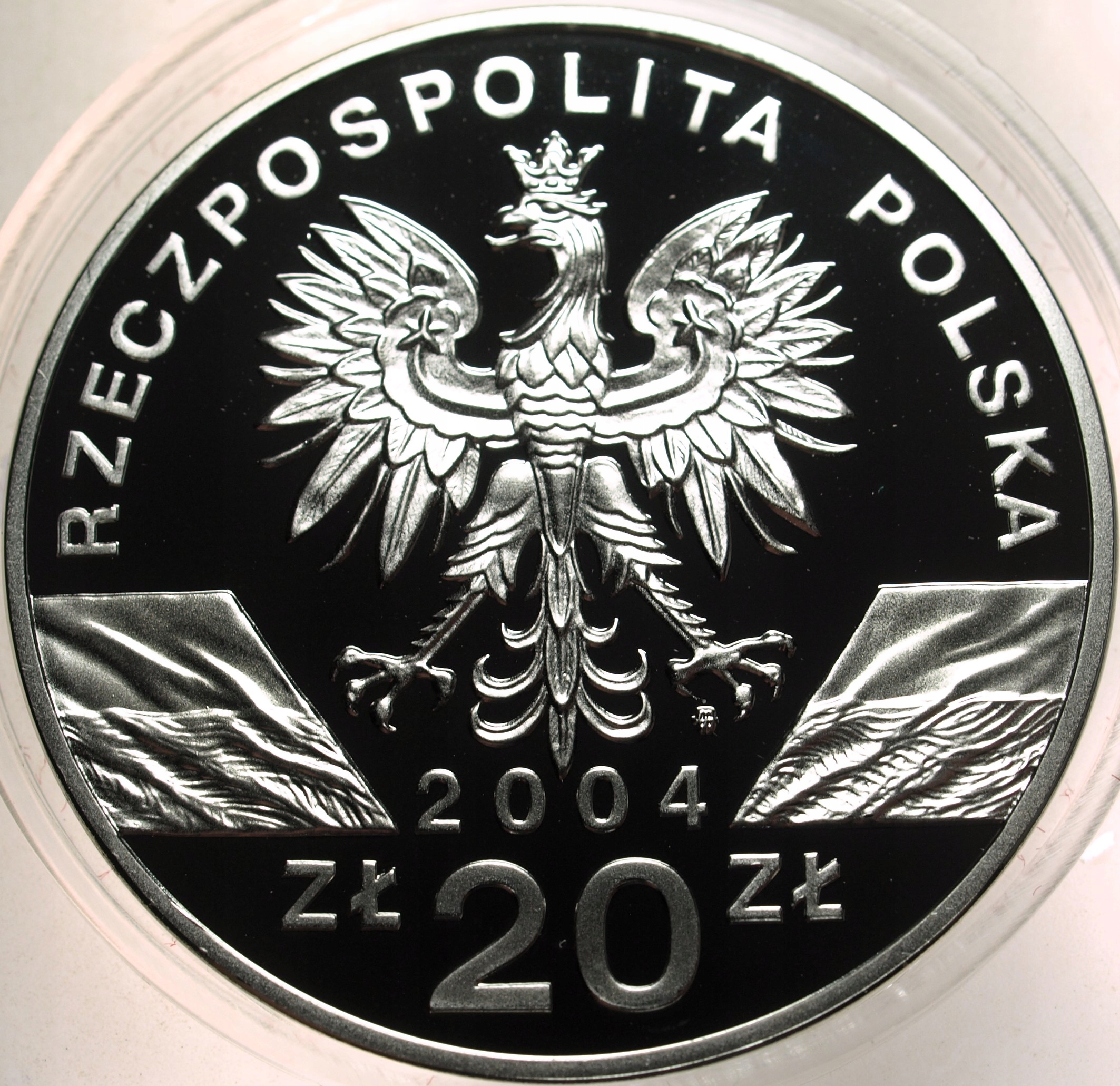 Zdjęcie 17874029664_1