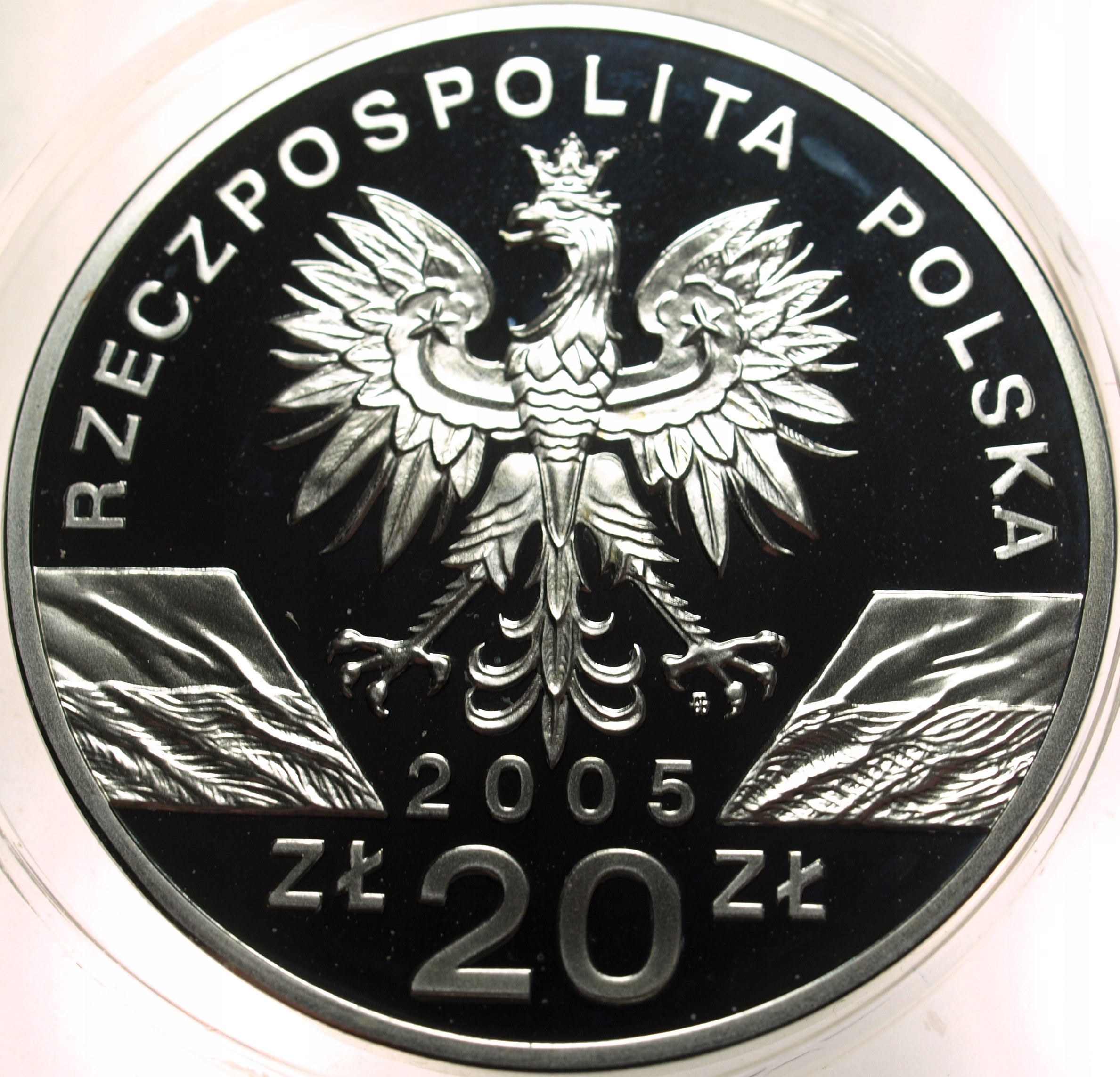 Zdjęcie 17874031828_1