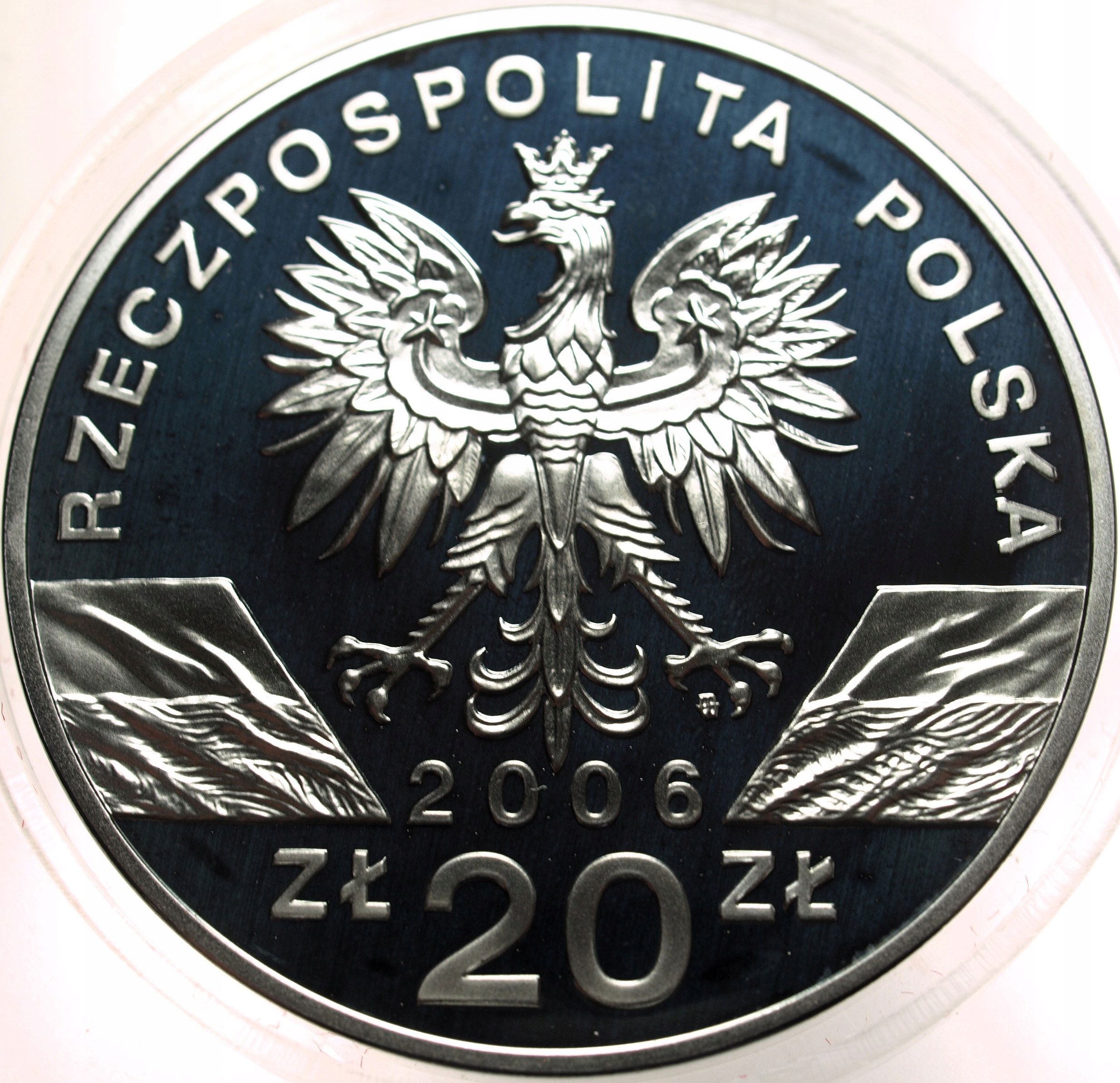 Zdjęcie 17874034134_1