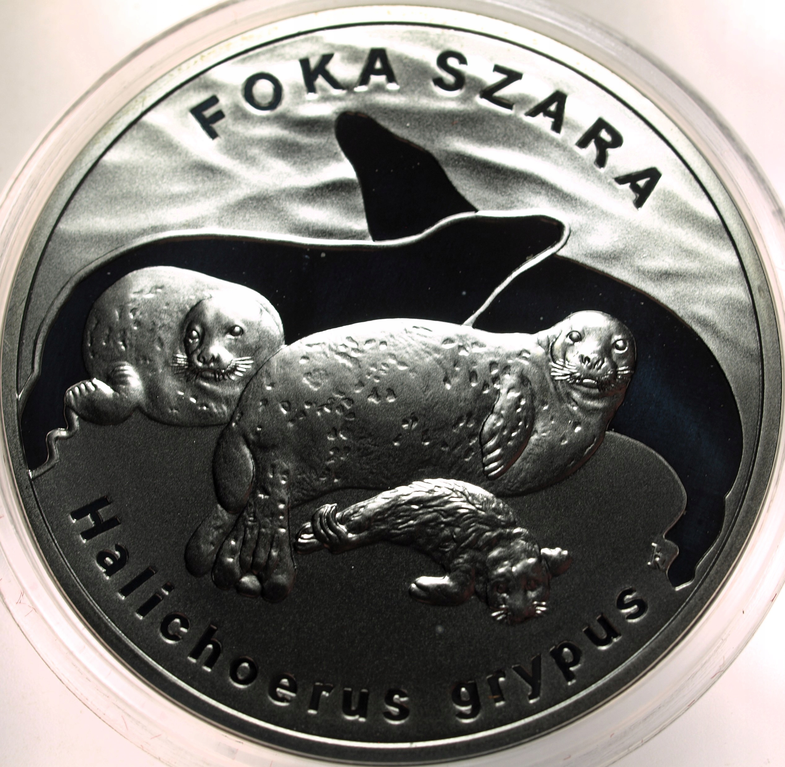 Zdjęcie 17874036488_0