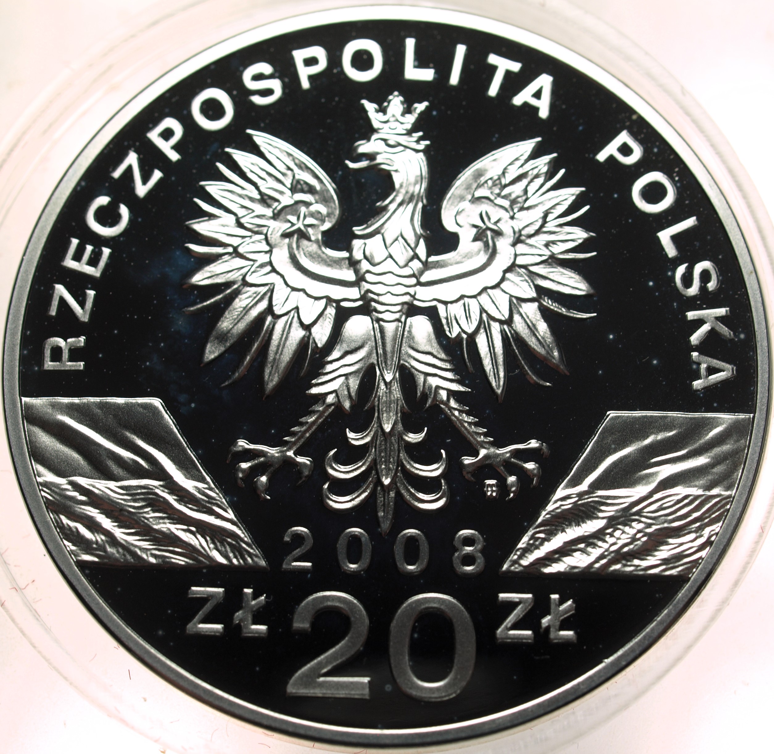 Zdjęcie 17874038794_1