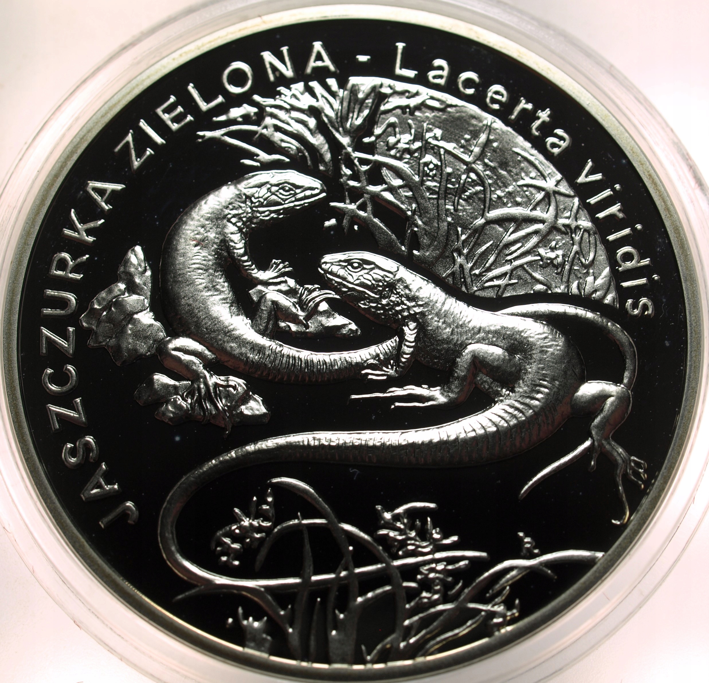 Zdjęcie 17874040739_0