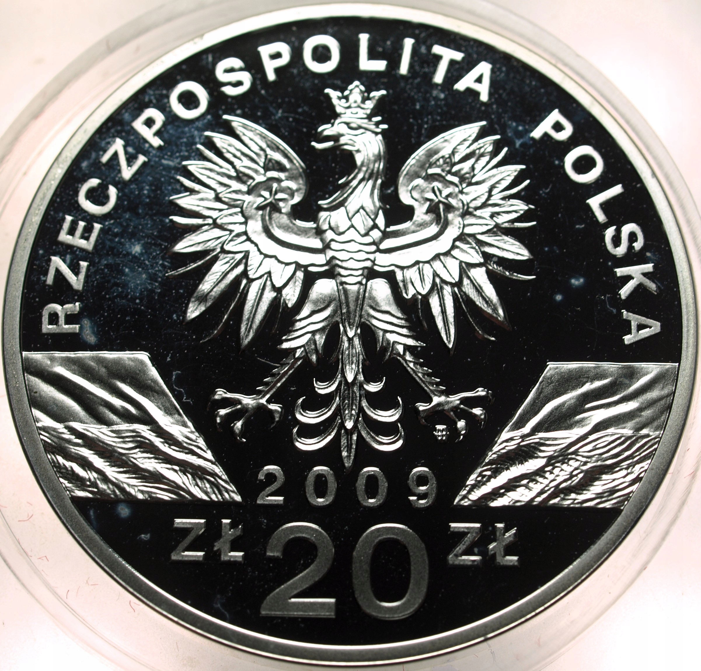 Zdjęcie 17874040739_1