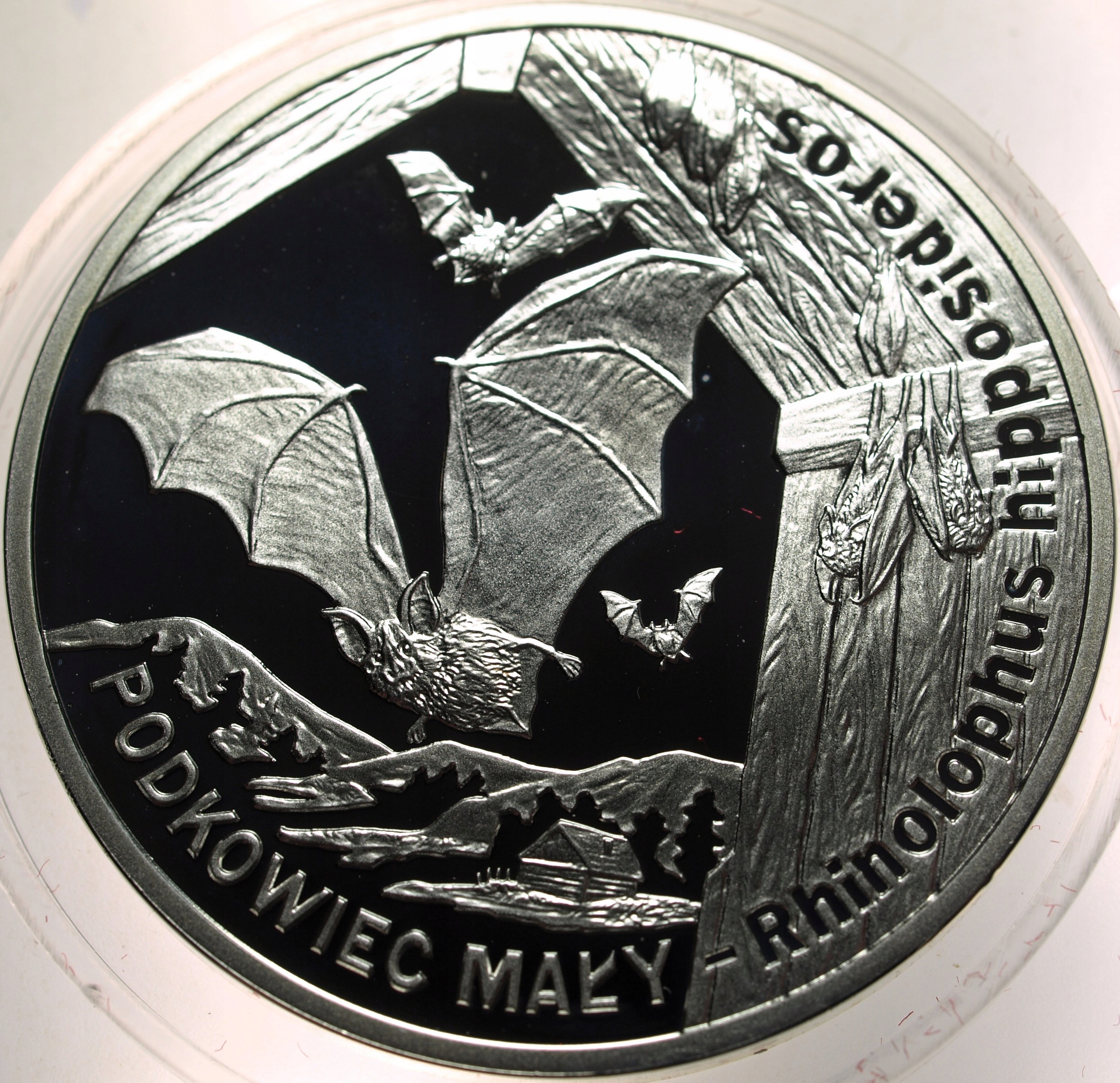 Zdjęcie 17874042813_0