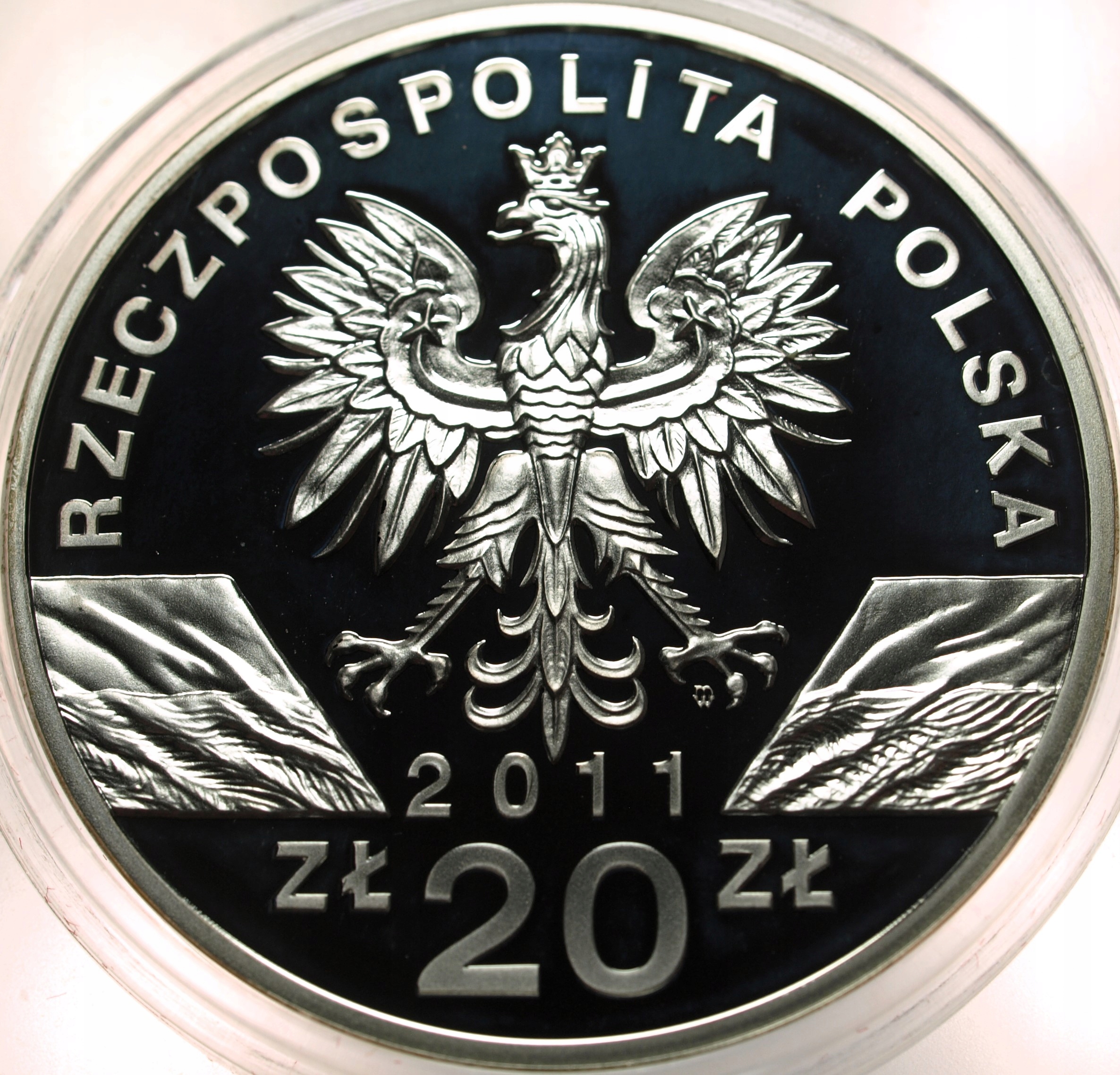Zdjęcie 17874044801_1