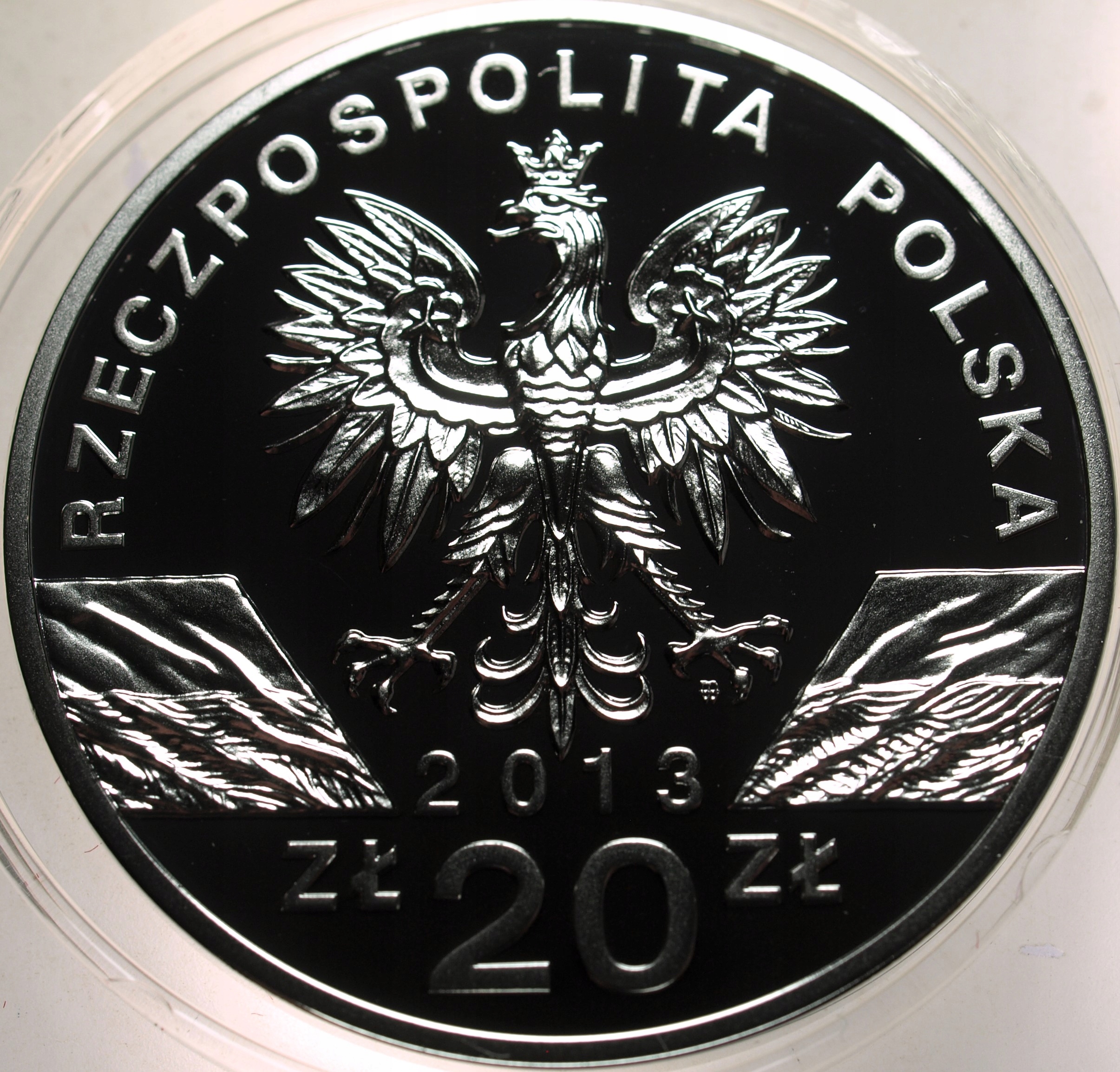 Zdjęcie 17874046701_2