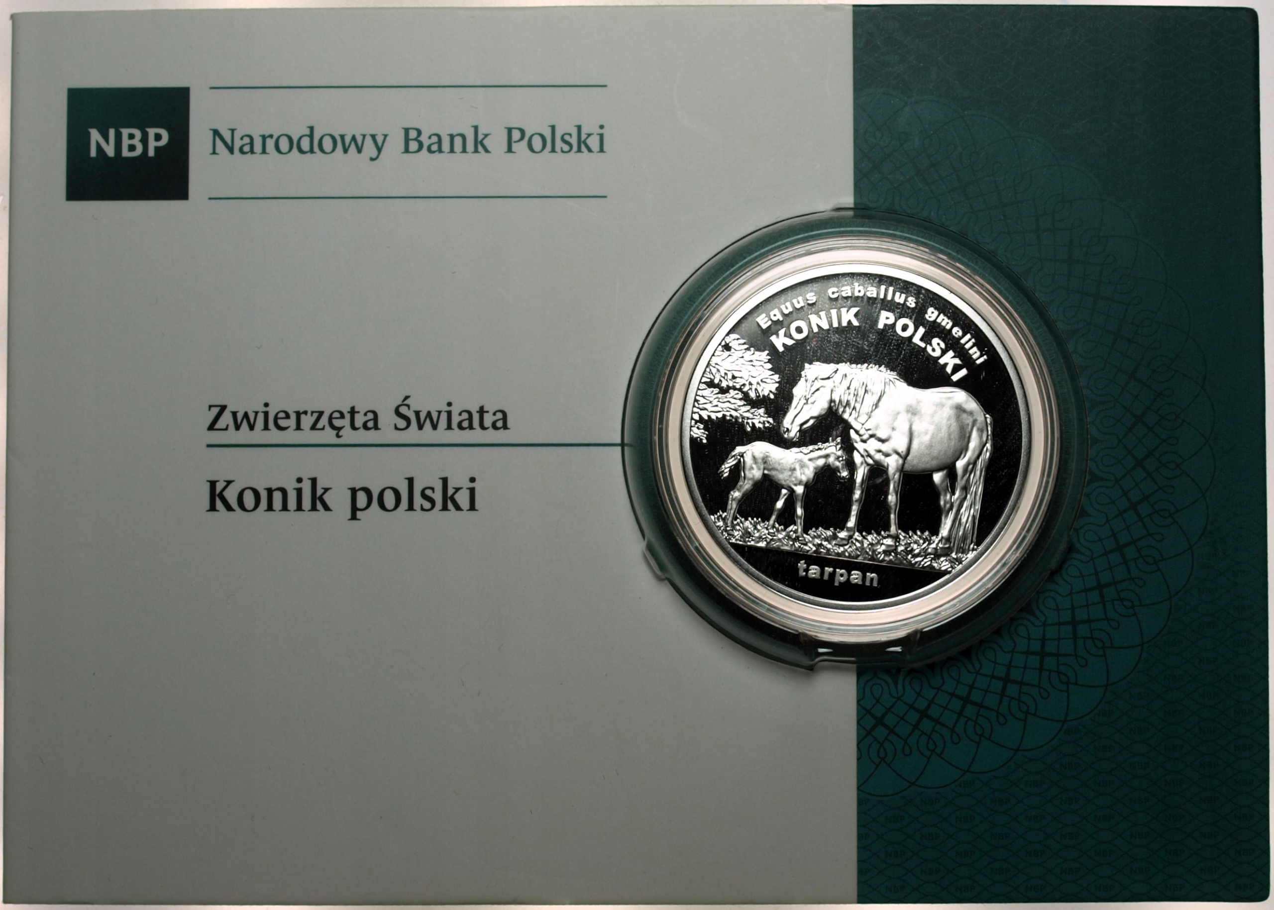 Zdjęcie 17874048936_0