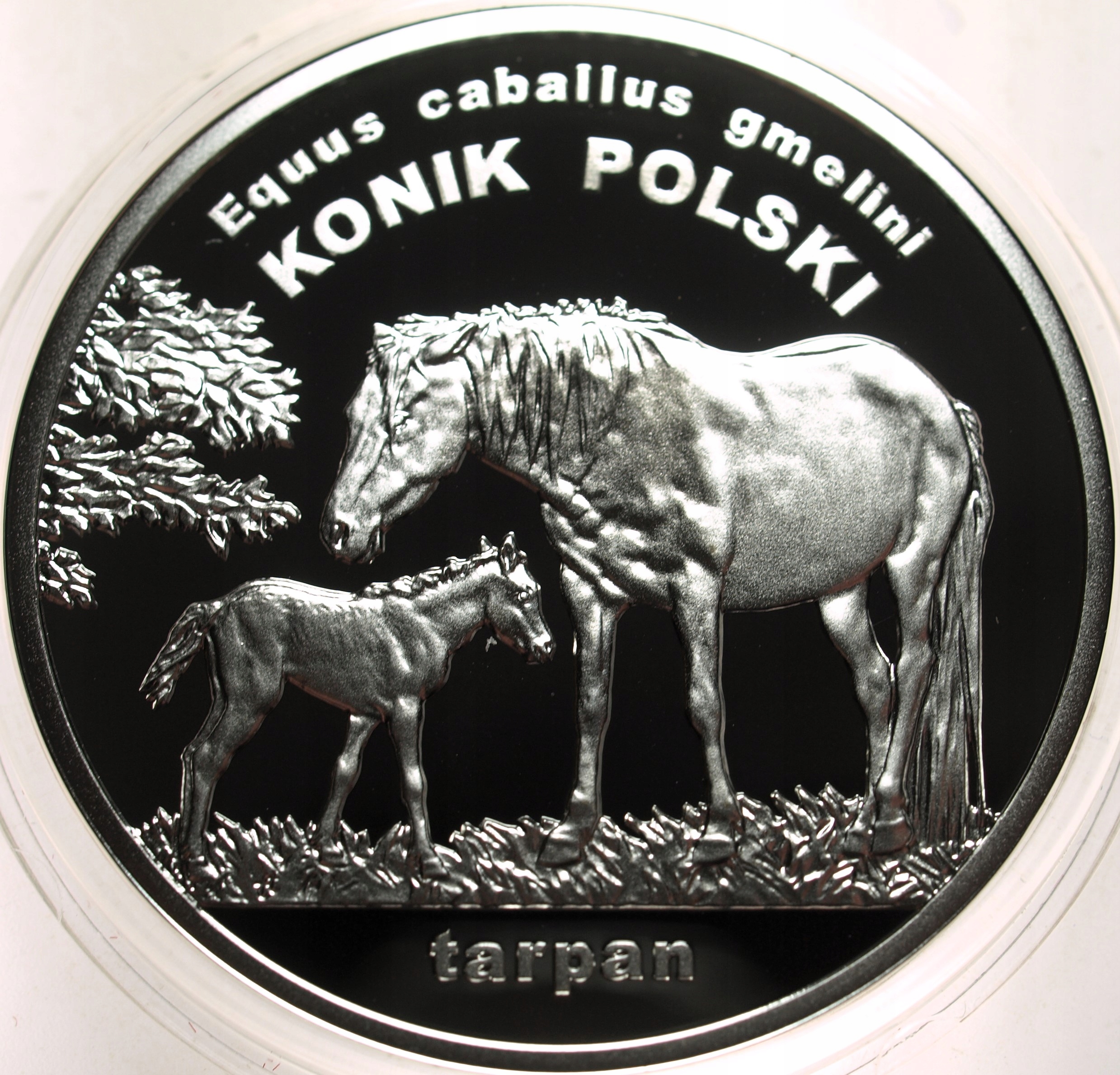 Zdjęcie 17874048936_1