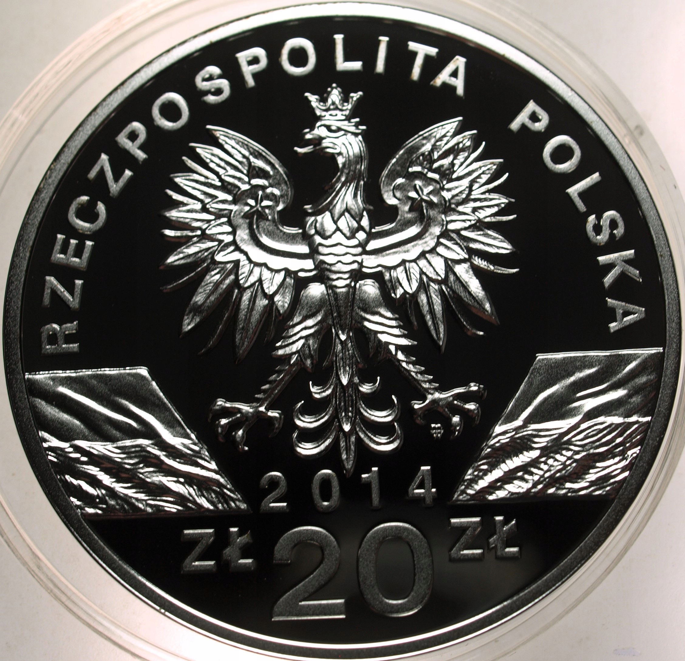 Zdjęcie 17874048936_2