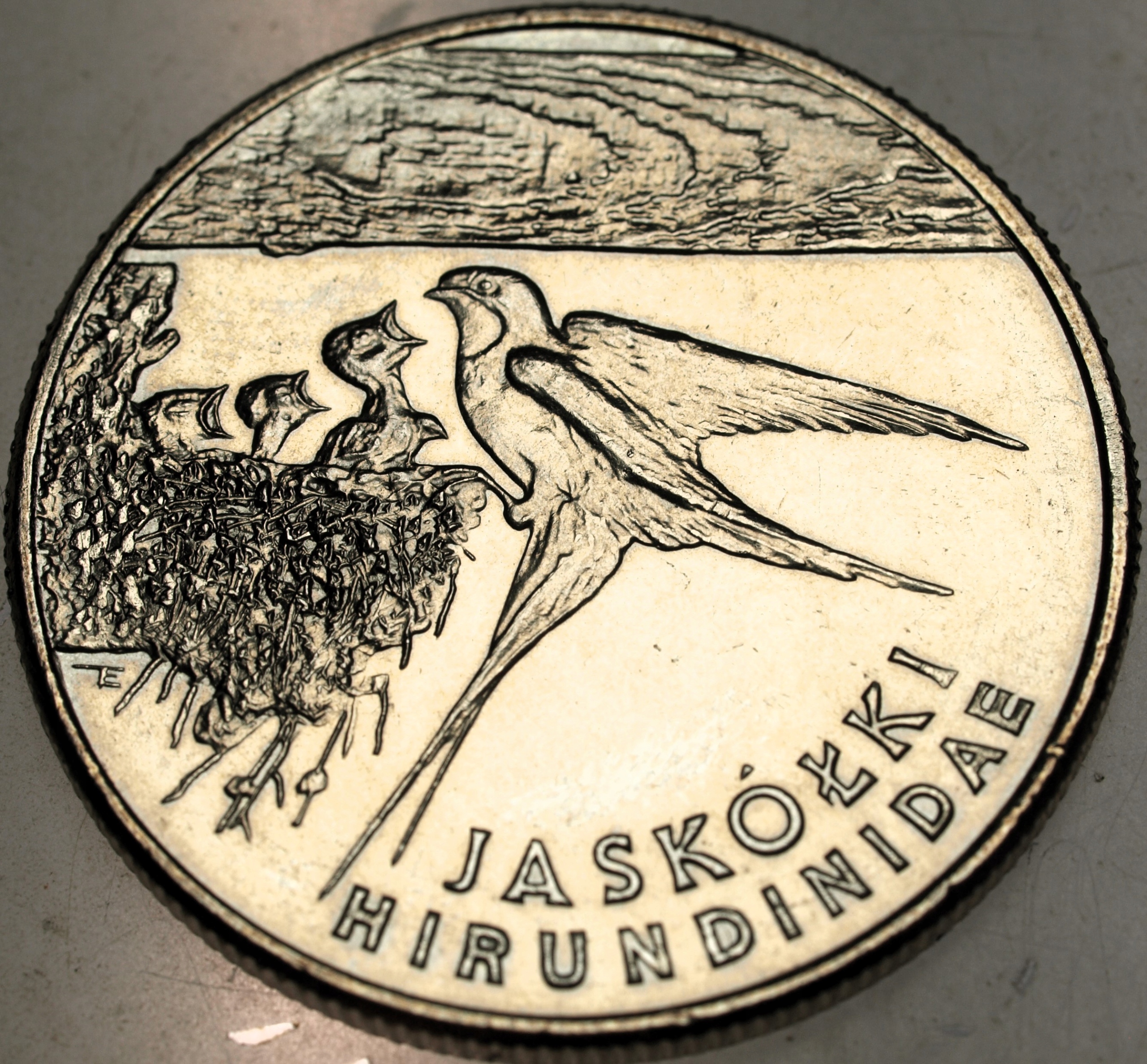 Zdjęcie 17874054685_0