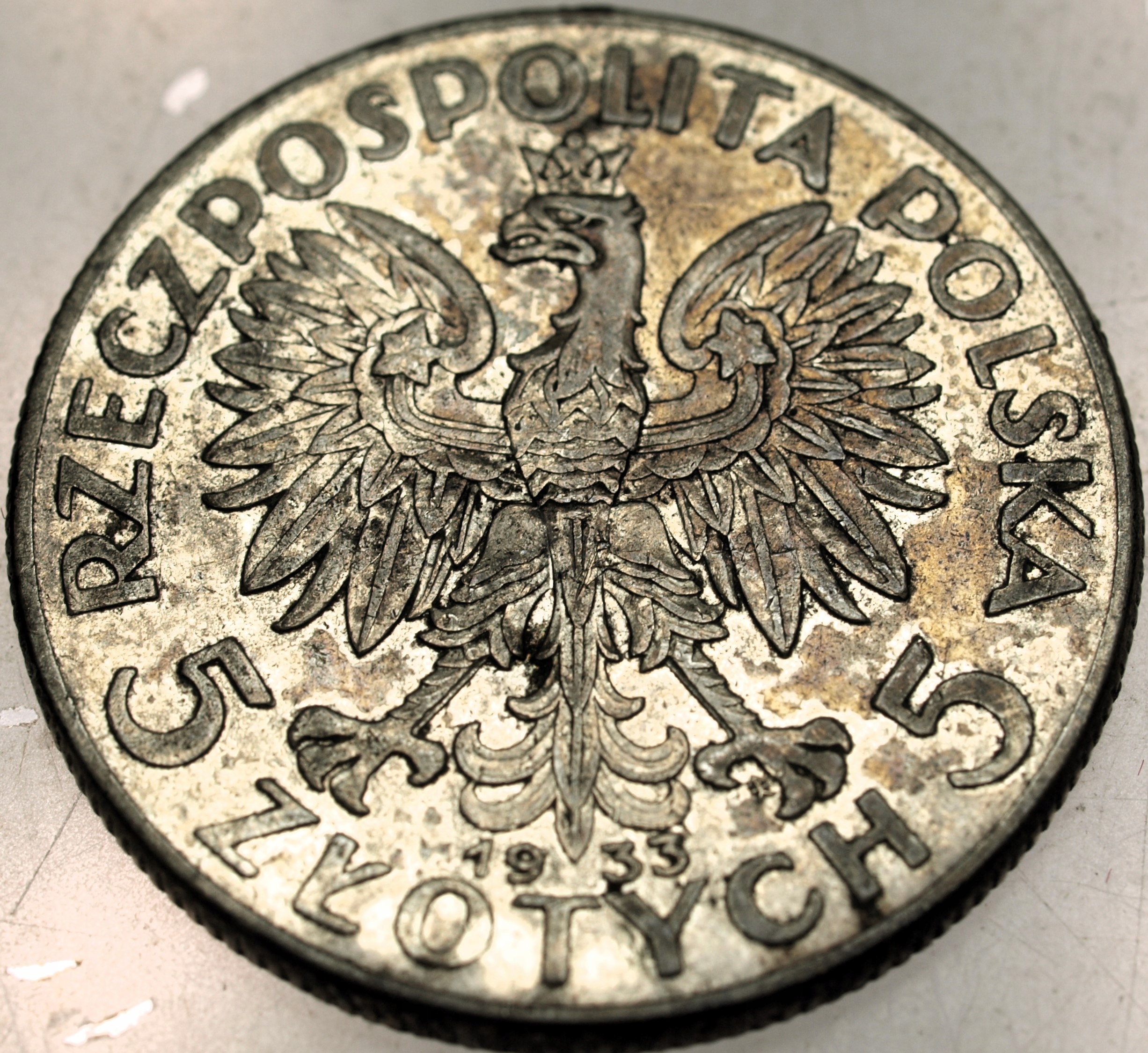 Zdjęcie 17886762887_1