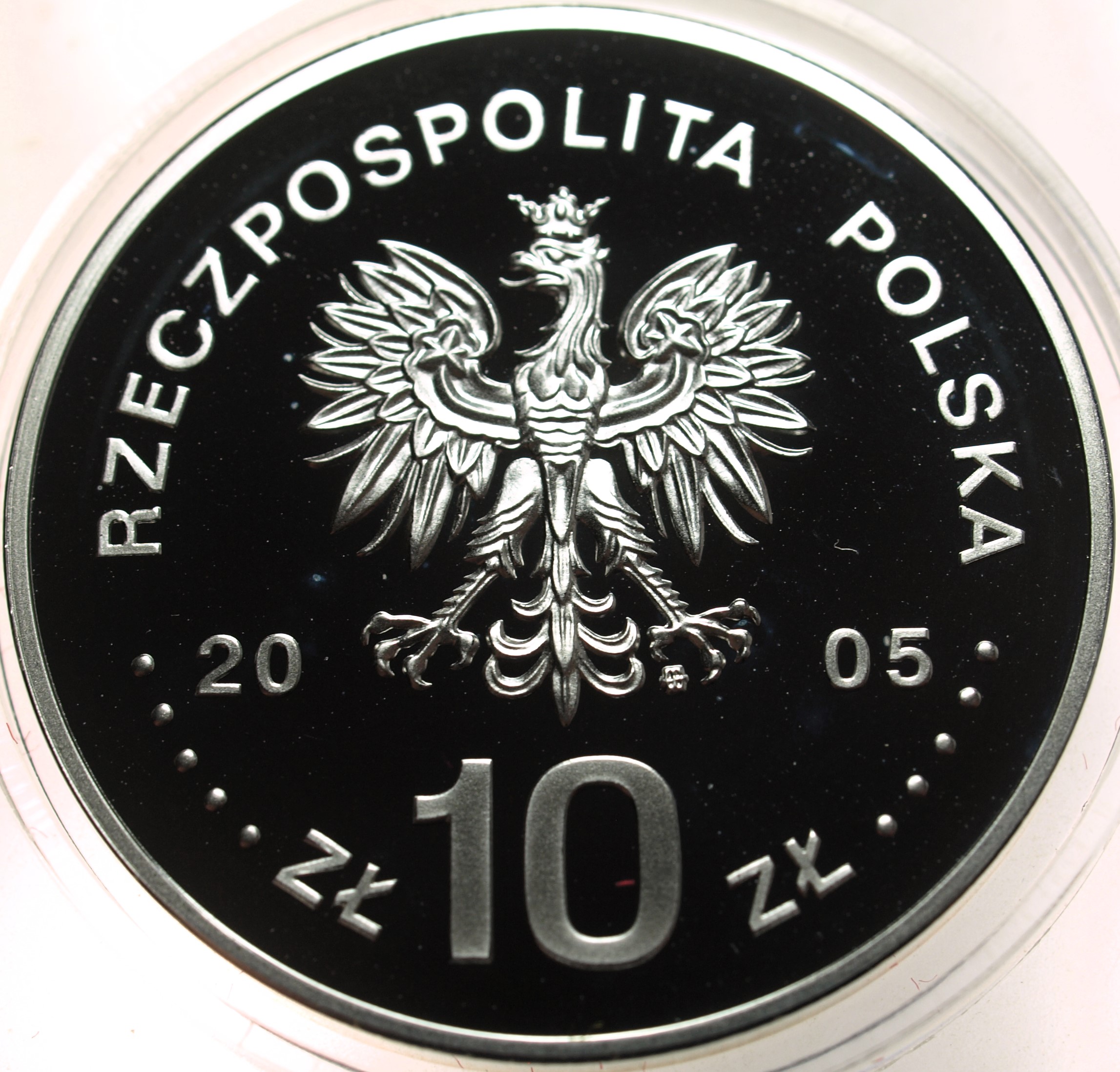 Zdjęcie 17886772588_1