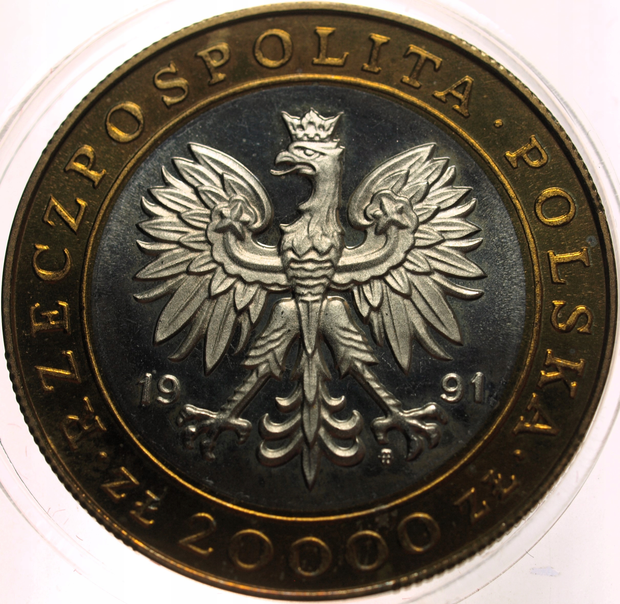 Zdjęcie 17886786879_1