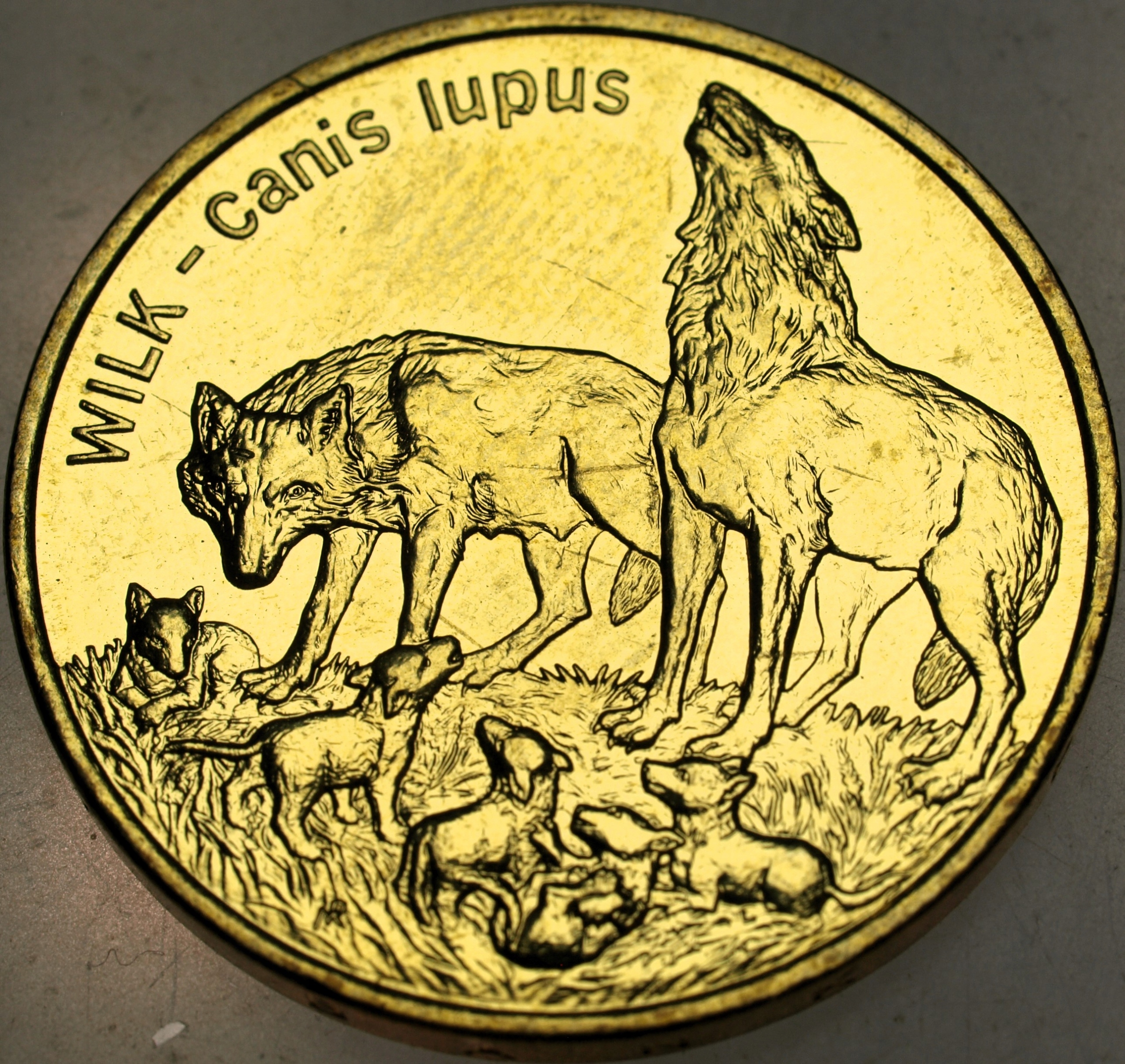 Zdjęcie 17886800117_0