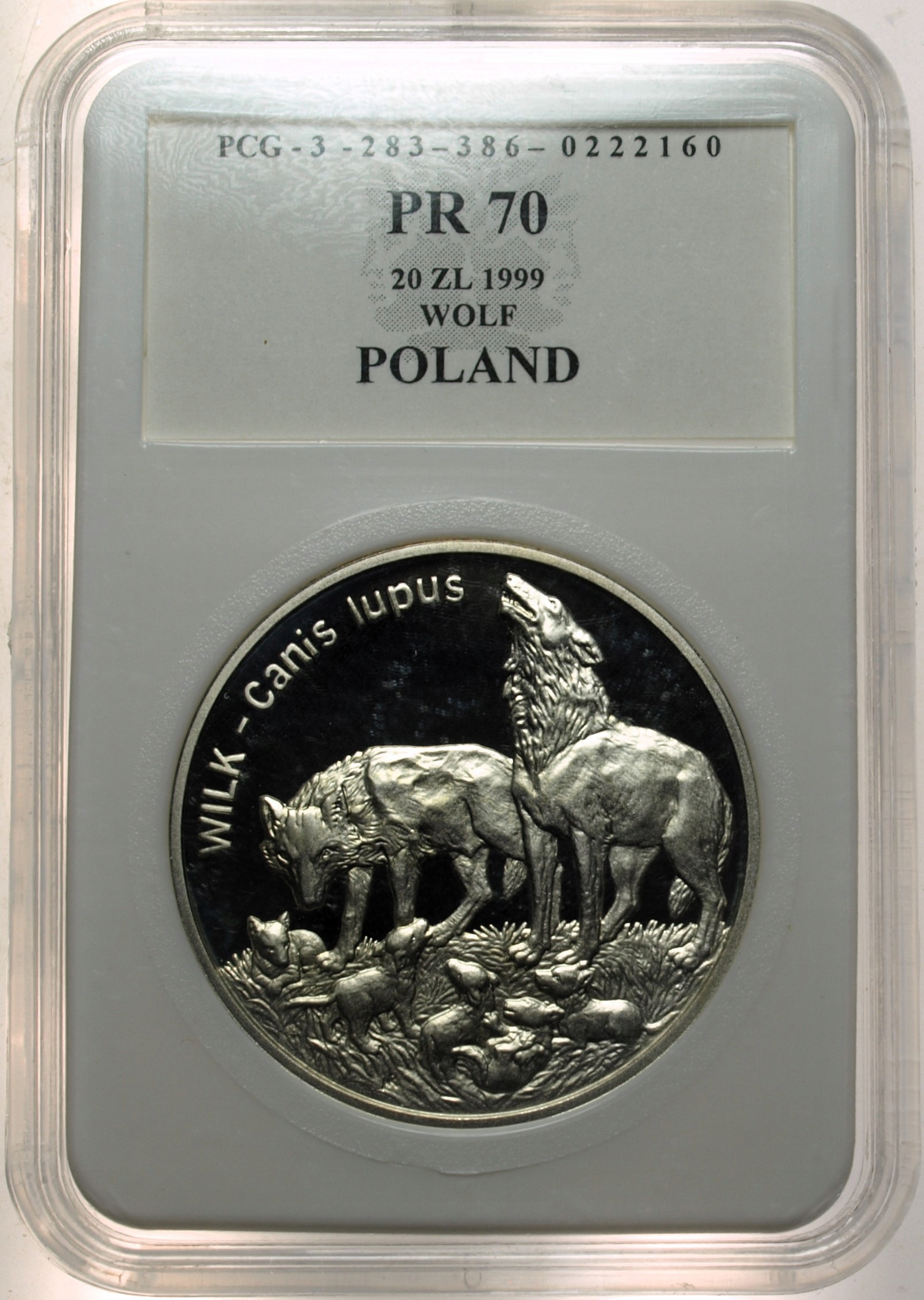 Zdjęcie 17886811458_0