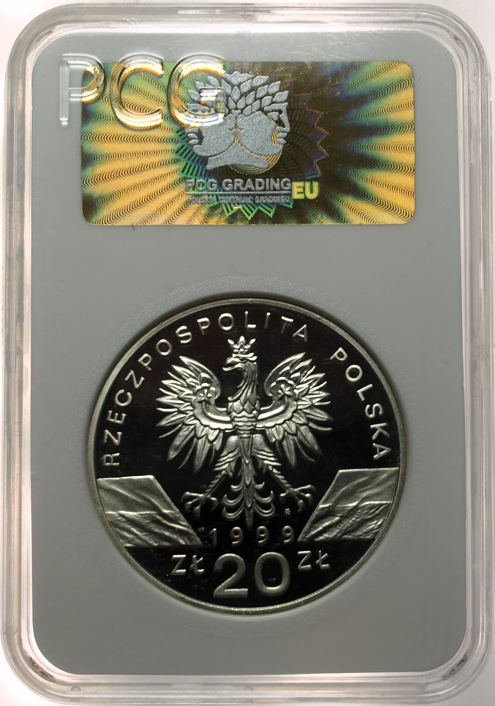 Zdjęcie 17886811458_1