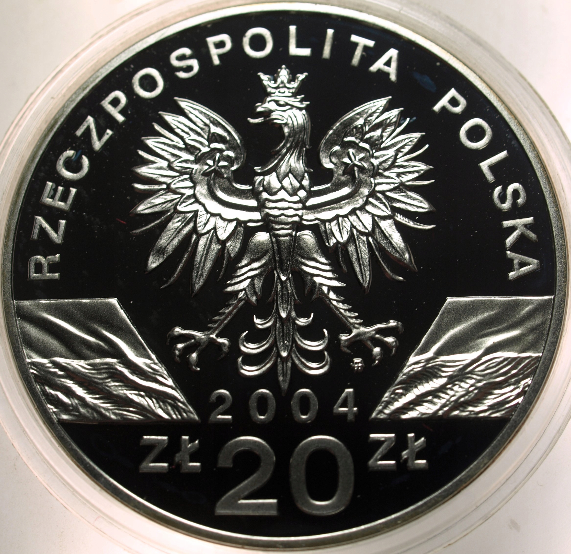 Zdjęcie 17886813634_1