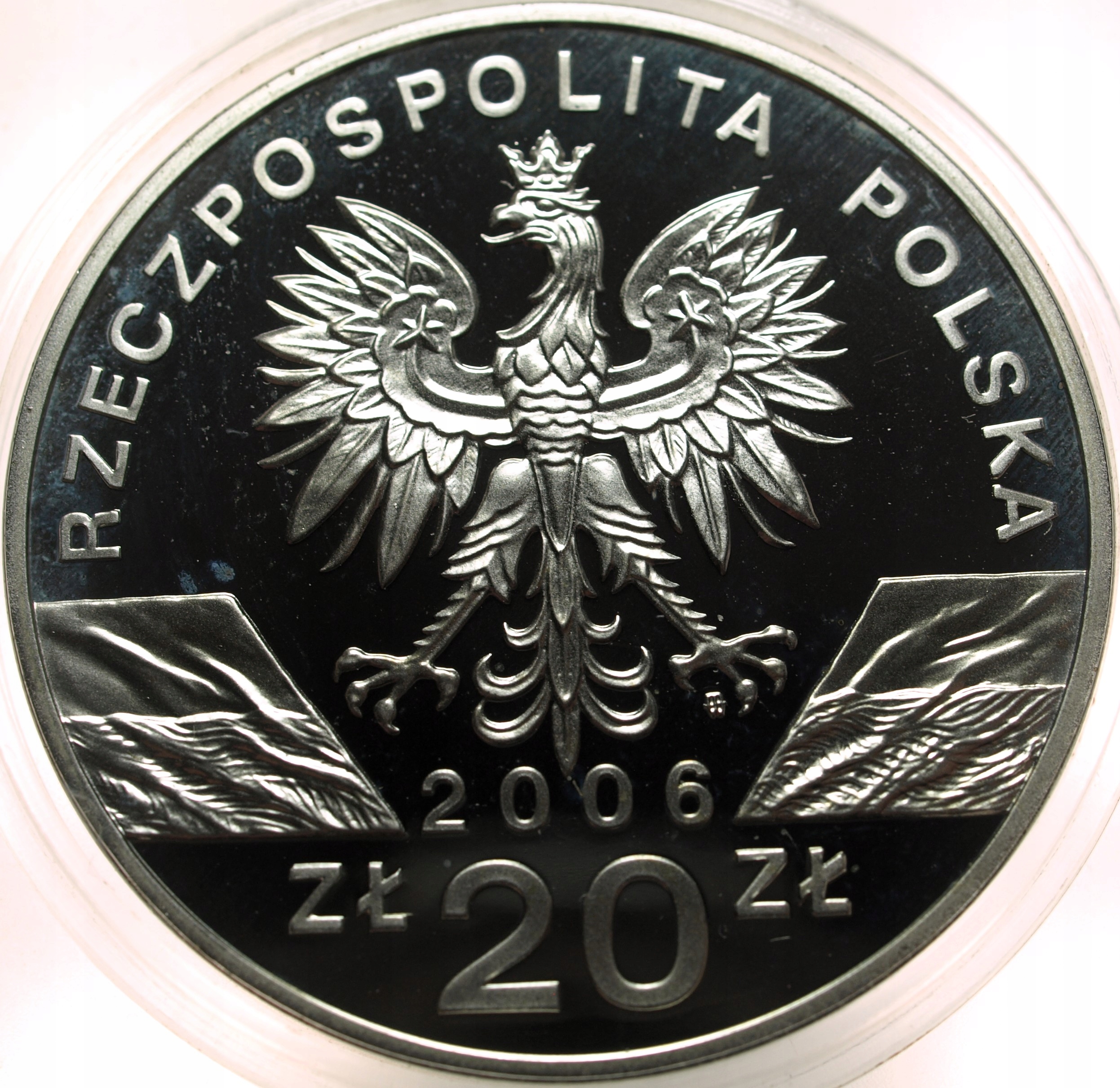 Zdjęcie 17886815788_1