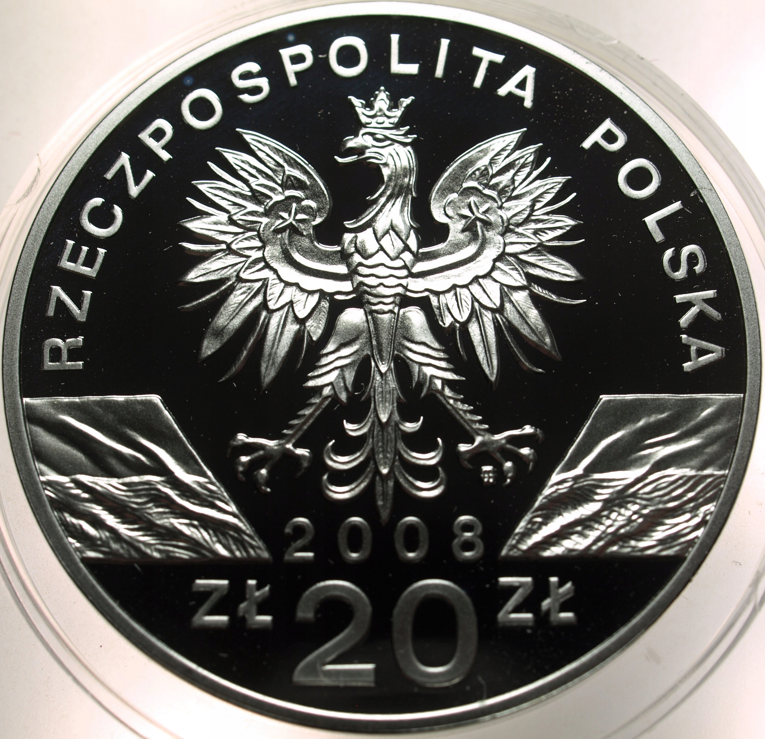 Zdjęcie 17886819581_1