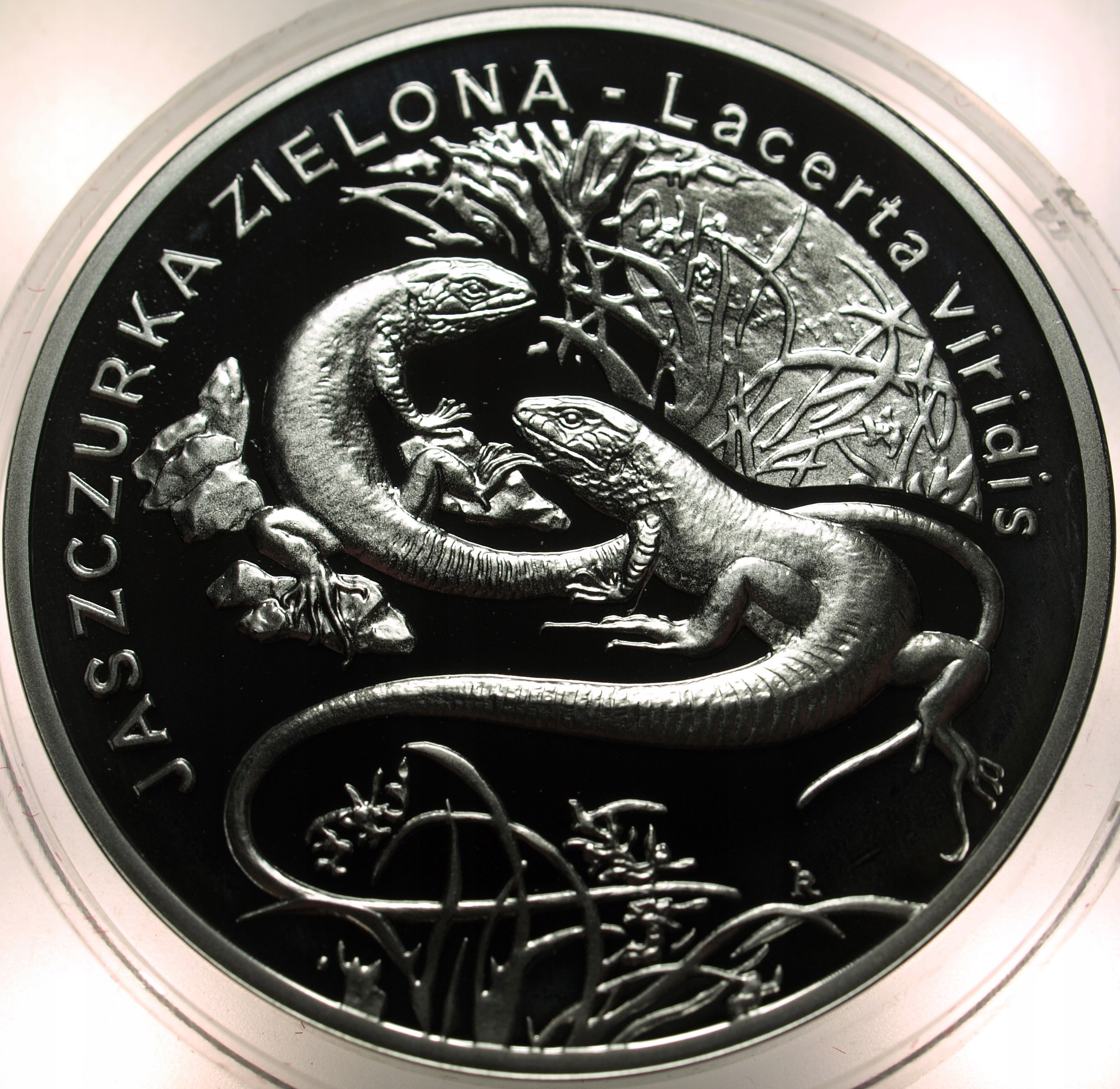 Zdjęcie 17886822104_0