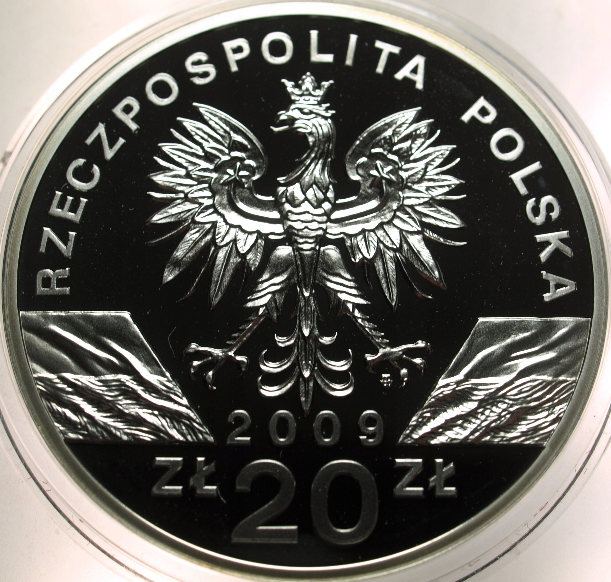 Zdjęcie 17886822104_1