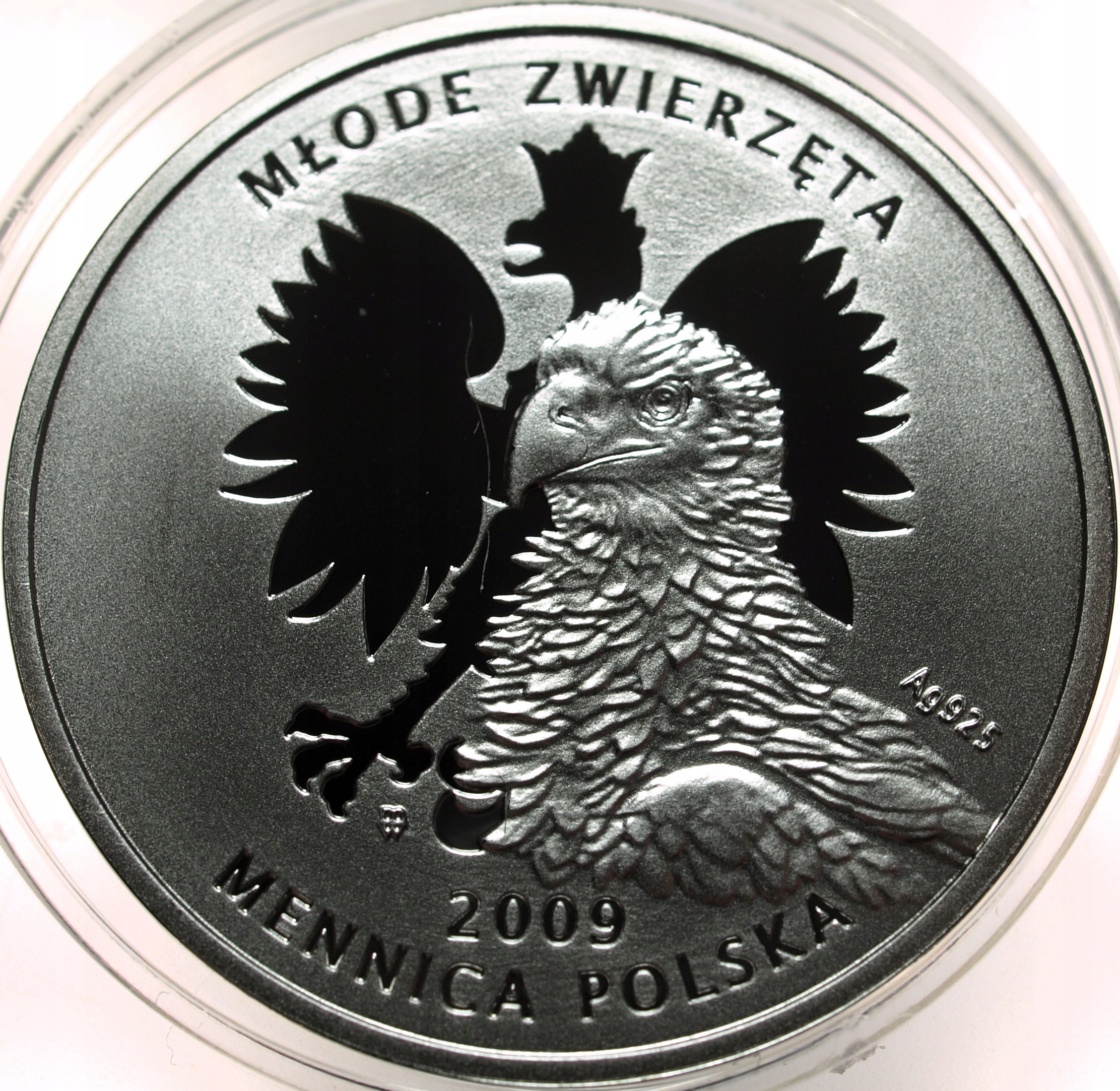 Zdjęcie 17886831036_1