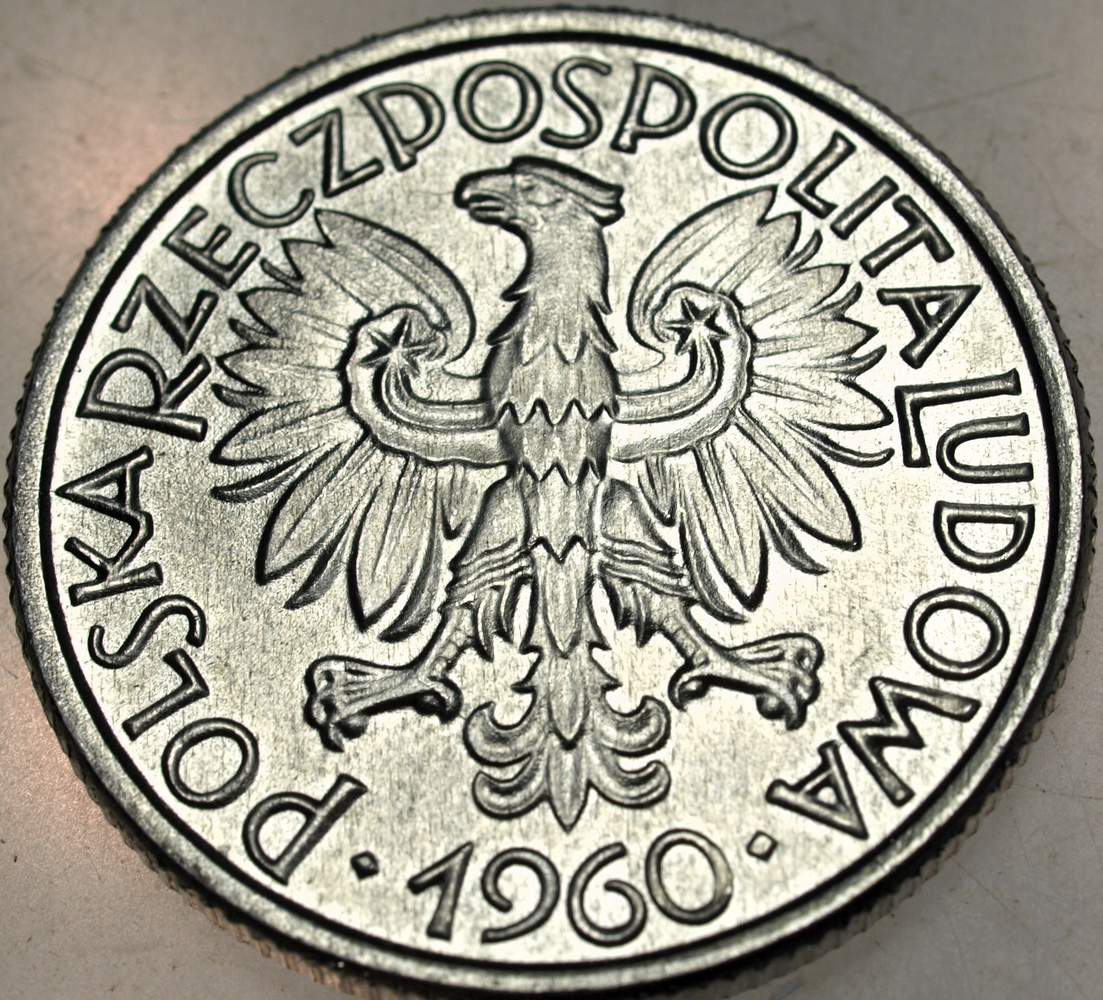 Zdjęcie 17898799734_1