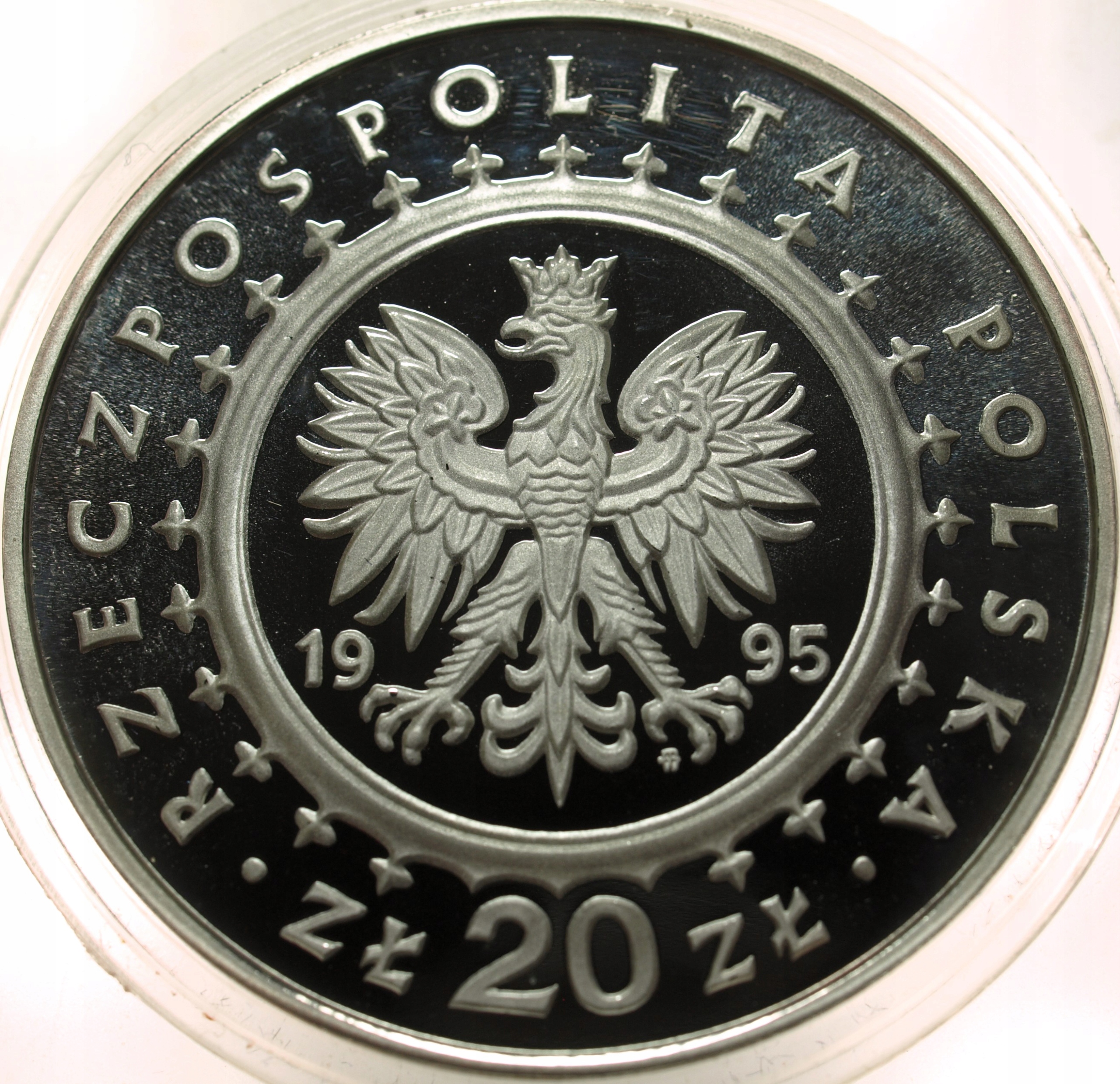 Zdjęcie 17898809029_1