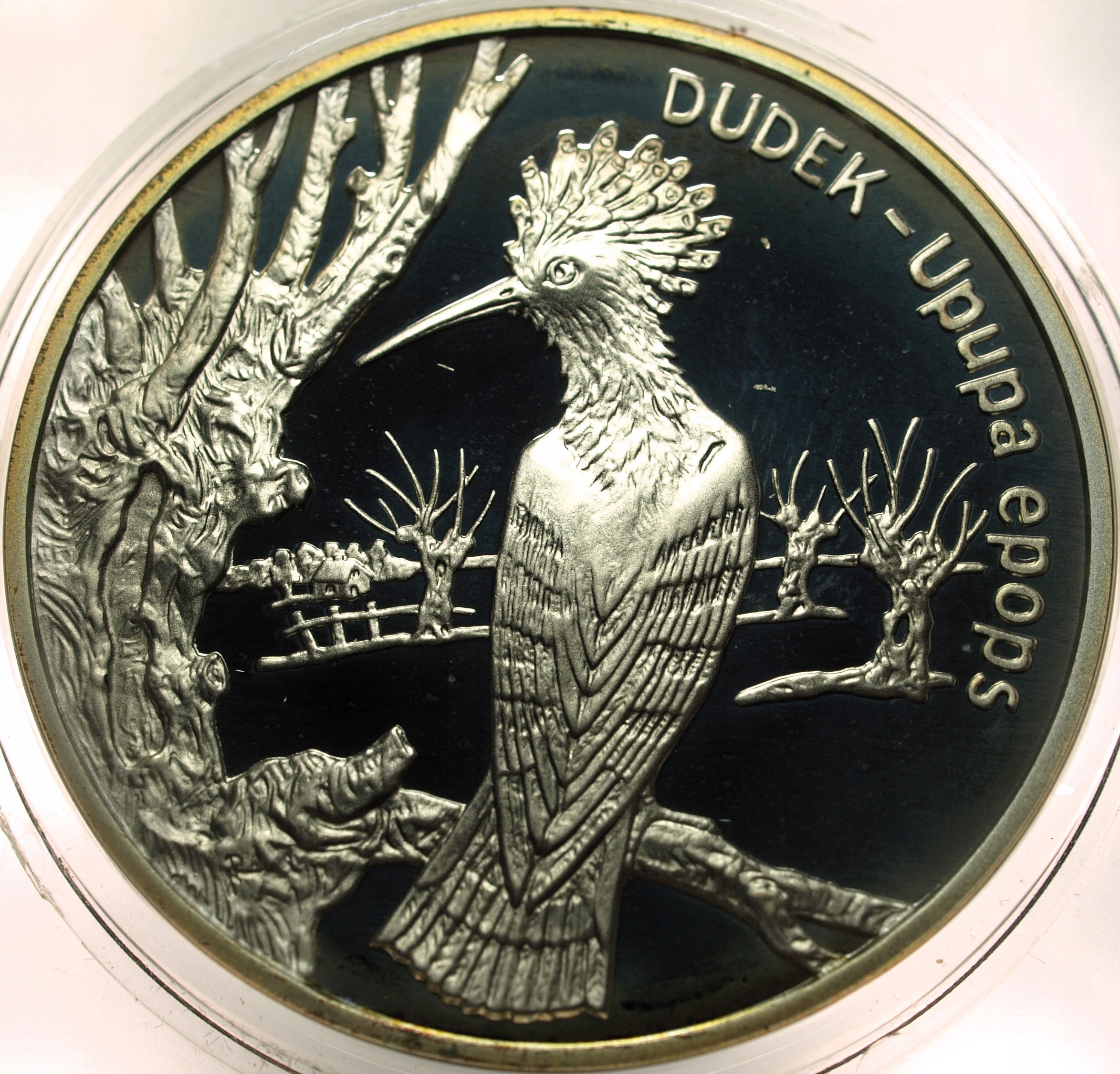 Zdjęcie 17898811189_0